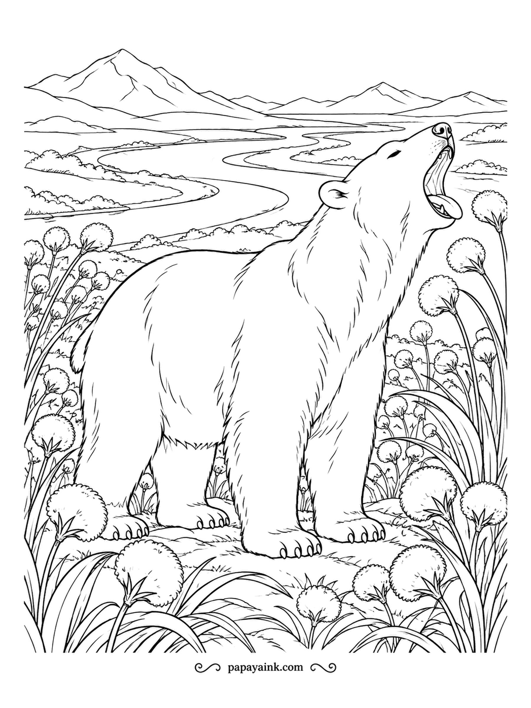 Polar Bear Coloring Pages - A huge summer yawn in a meadow of seed heads, with a river winding through the valley behind. That black nose and lips hint at the bear's dark skin under the white fur. Realistic, with rich texture everywhere.