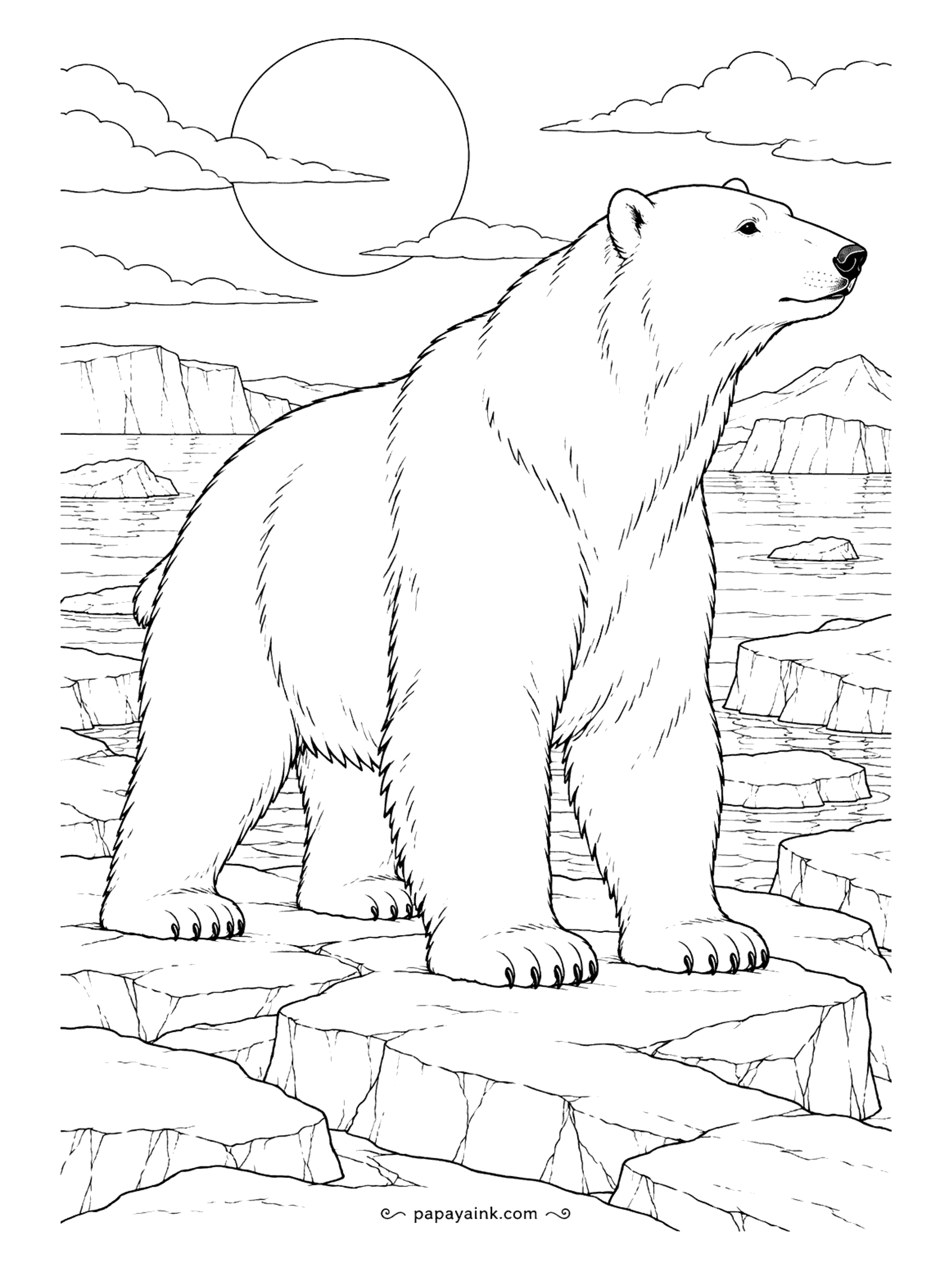 Polar Bear Coloring Pages - Morning on a rocky ice headland: the bear lifts its nose to the wind, with a low sun, a few clouds and a wall of glacier along the far shore. Long fur strokes everywhere, so a soft blue-gray pencil is all the shading it needs.
