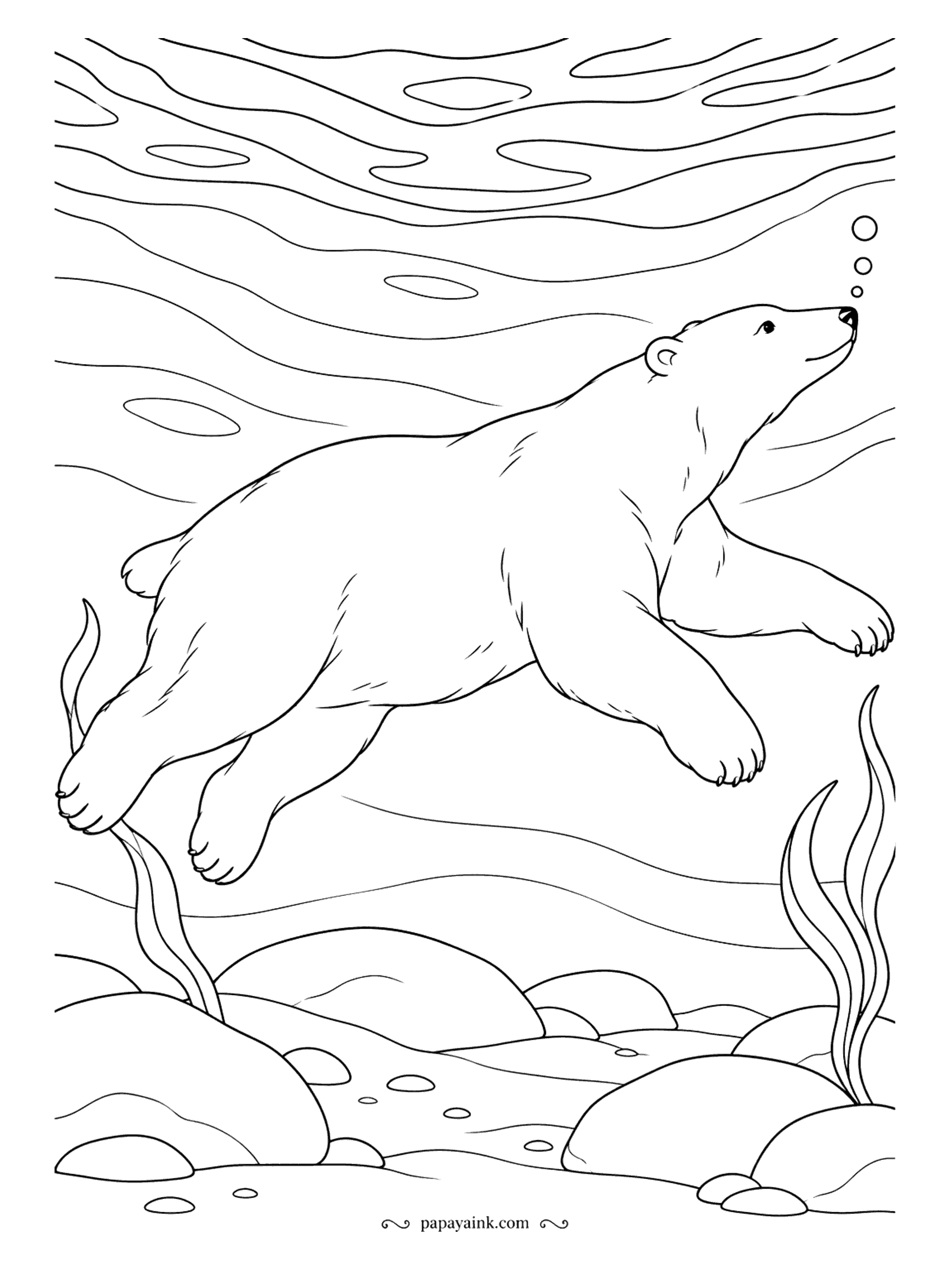 Polar Bear Coloring Pages - Paddling with the front paws and steering with the back ones, the bear glides over a stony seabed between strands of kelp, bubbles rising to the surface. Layer the blues from dark at the bottom to pale near the light.