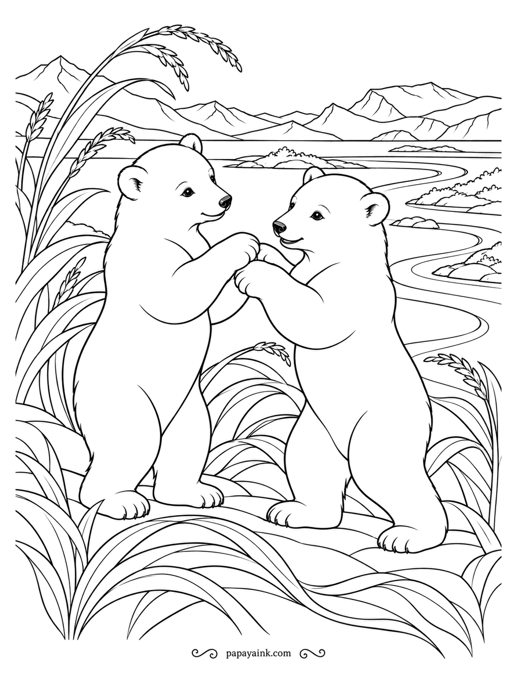 Polar Bear Coloring Pages - Two cubs rise on their hind legs and grapple face to face, the way young bears practice their strength. Tall grass, a winding river and distant mountains complete the scene. Soft lines, gentle mood.