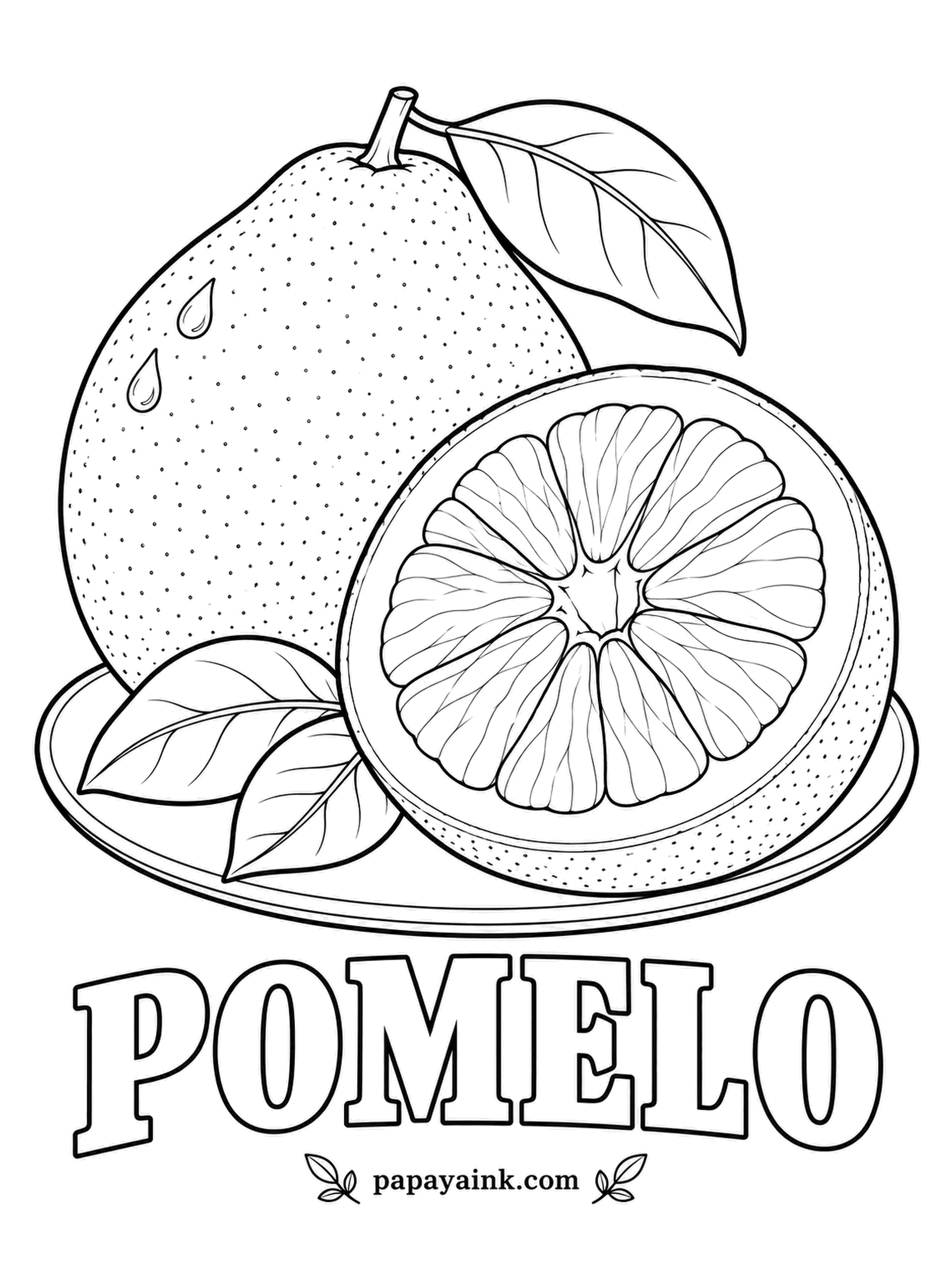 Printable Fruit Coloring Pages - Pomelo is the largest citrus there is, and this one shows its thick dimpled rind and a halved fruit with the segments laid bare. Pale green to yellow outside, a wide white pith, and pink or pale yellow flesh.