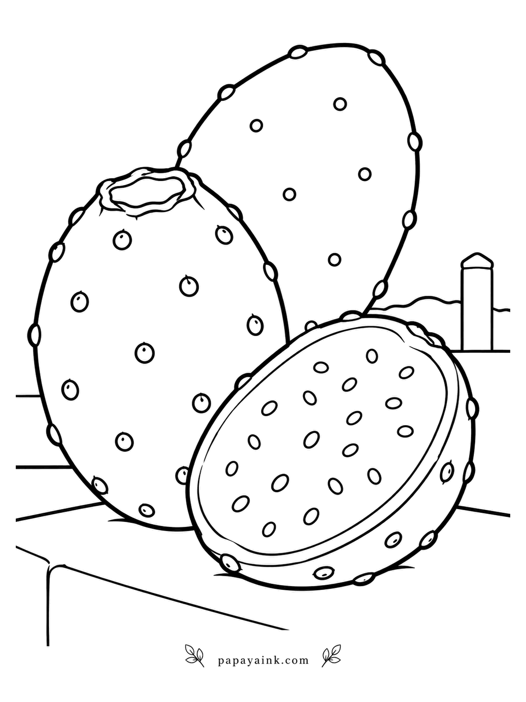 Fruit Coloring Pages - Bundles of fine hairlike spines hide in those little dots, so a prickly pear is peeled with a fork and knife, never bare hands. The fruit grows on the paddles of the opuntia cactus, and in Mexico it is sold as tuna. Two wait on the patio ledge, one sliced in half. Magenta flesh, green to red skin.