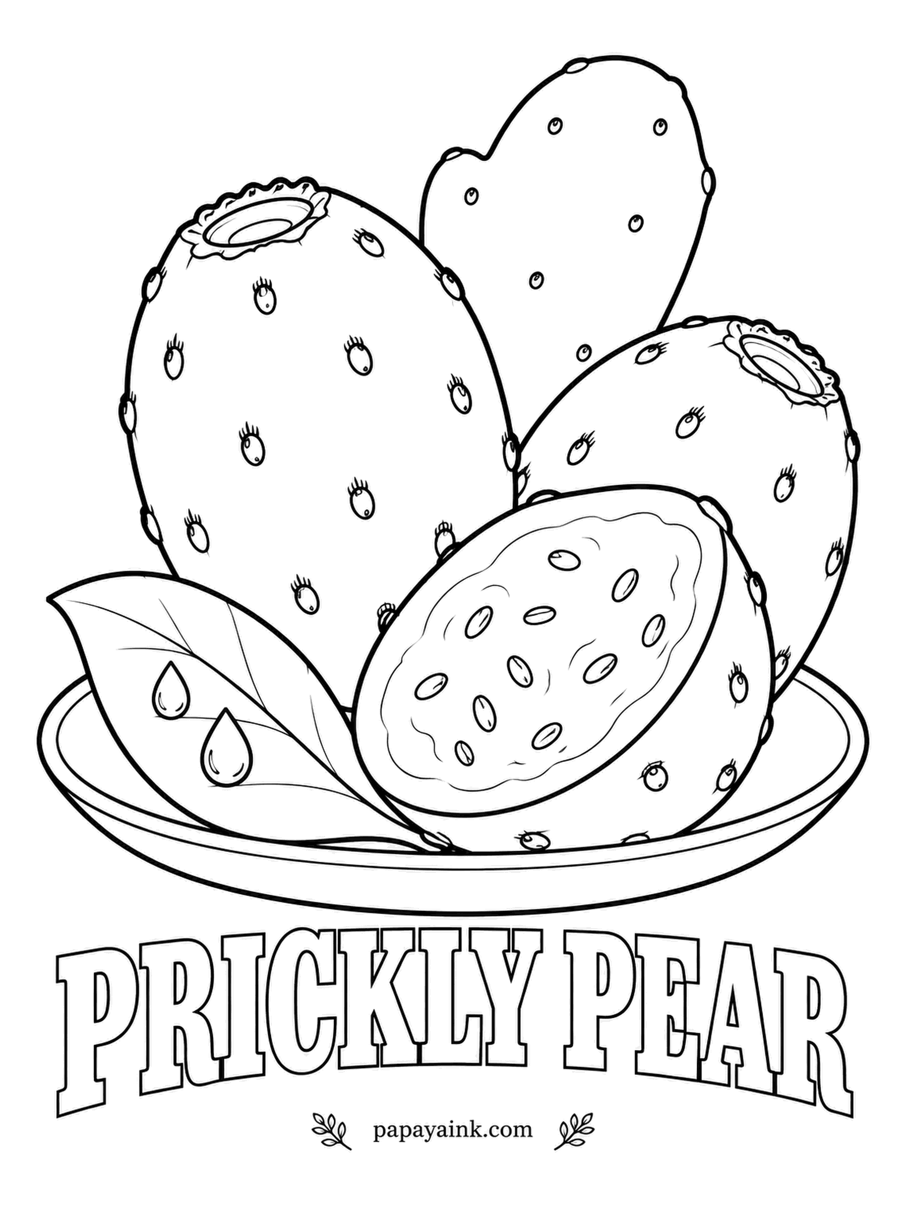 Printable Fruit Coloring Pages - Prickly pears, the fruit of a cactus, with a pad of the plant behind them. The skin is magenta to orange with tiny tufts of spines, and the inside is a startling magenta full of hard seeds.