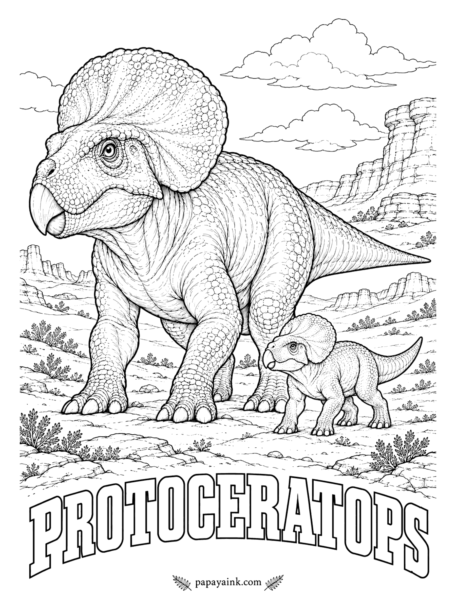 Free Printable Dinosaur Coloring Pages - Among the most famous fossils ever found is one of these locked in a fight with a Velociraptor, both buried mid-struggle. Protoceratops (pro-toe-SAIR-uh-tops, first horned face) was a sheep-sized plant-eater with a big frill and barely a bump where the horns would be, 6 to 8 feet long. Mongolia and northern China, about 75 million years ago.