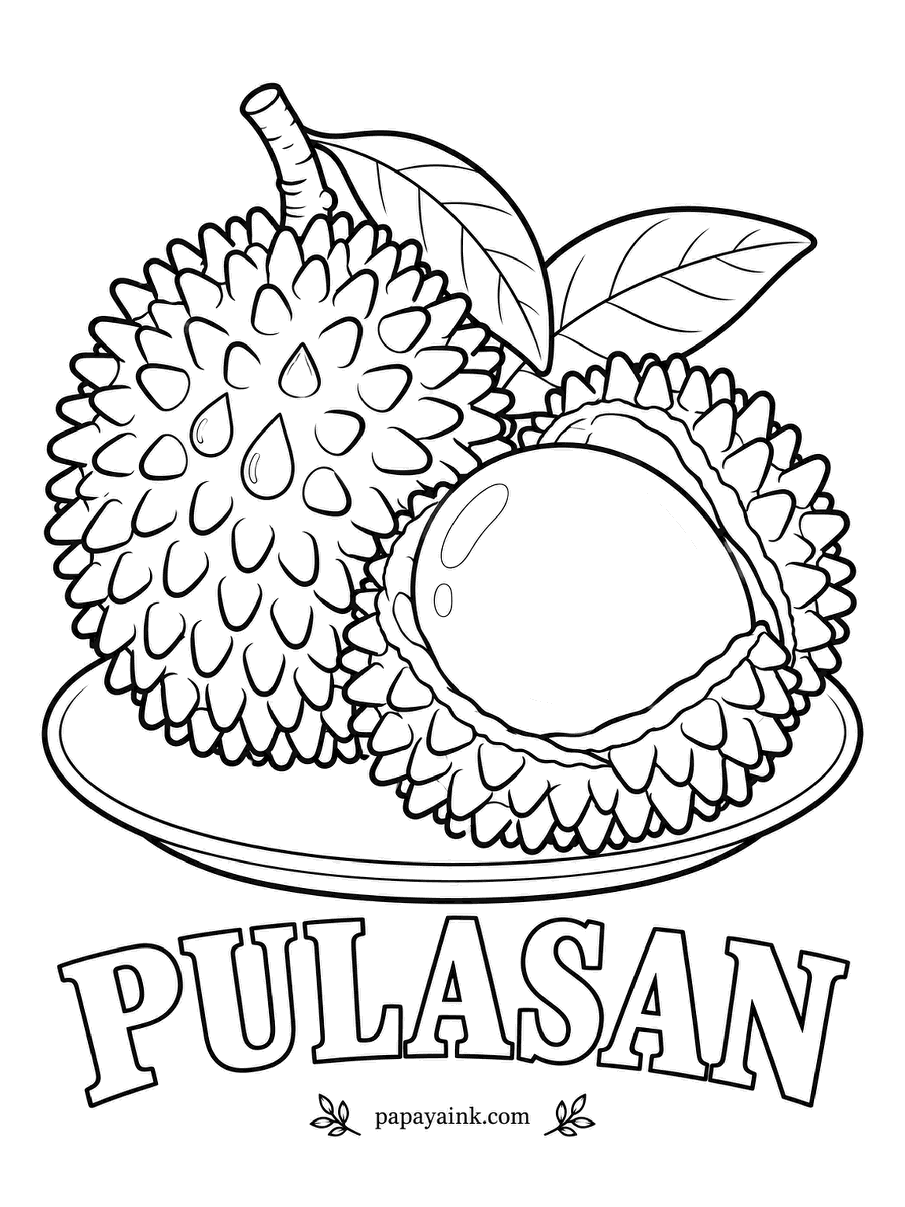 Printable Fruit Coloring Pages - Pulasan is a close relative of the rambutan, but instead of hair it grows short, thick knobs. Dark wine red shell, a white juicy fruit that comes away clean from its seed - sweeter than its hairy cousin, many say.