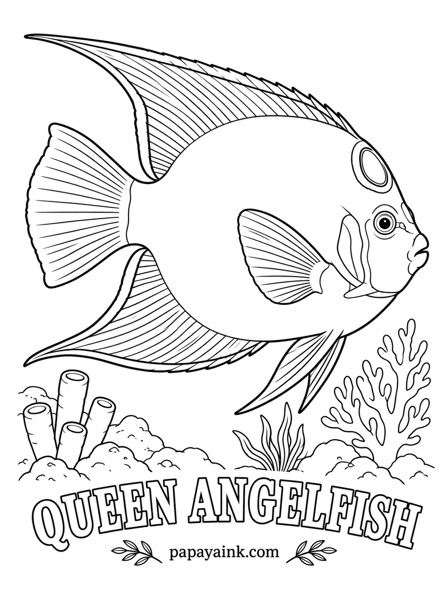Ocean Fish Coloring Pages - Look for the ringed spot on the forehead - the crown that separates a queen from the look-alike blue angelfish: black, speckled and rimmed with electric blue. Blue edges on the long fins, blue-green scales rimmed in yellow, a bright yellow tail.