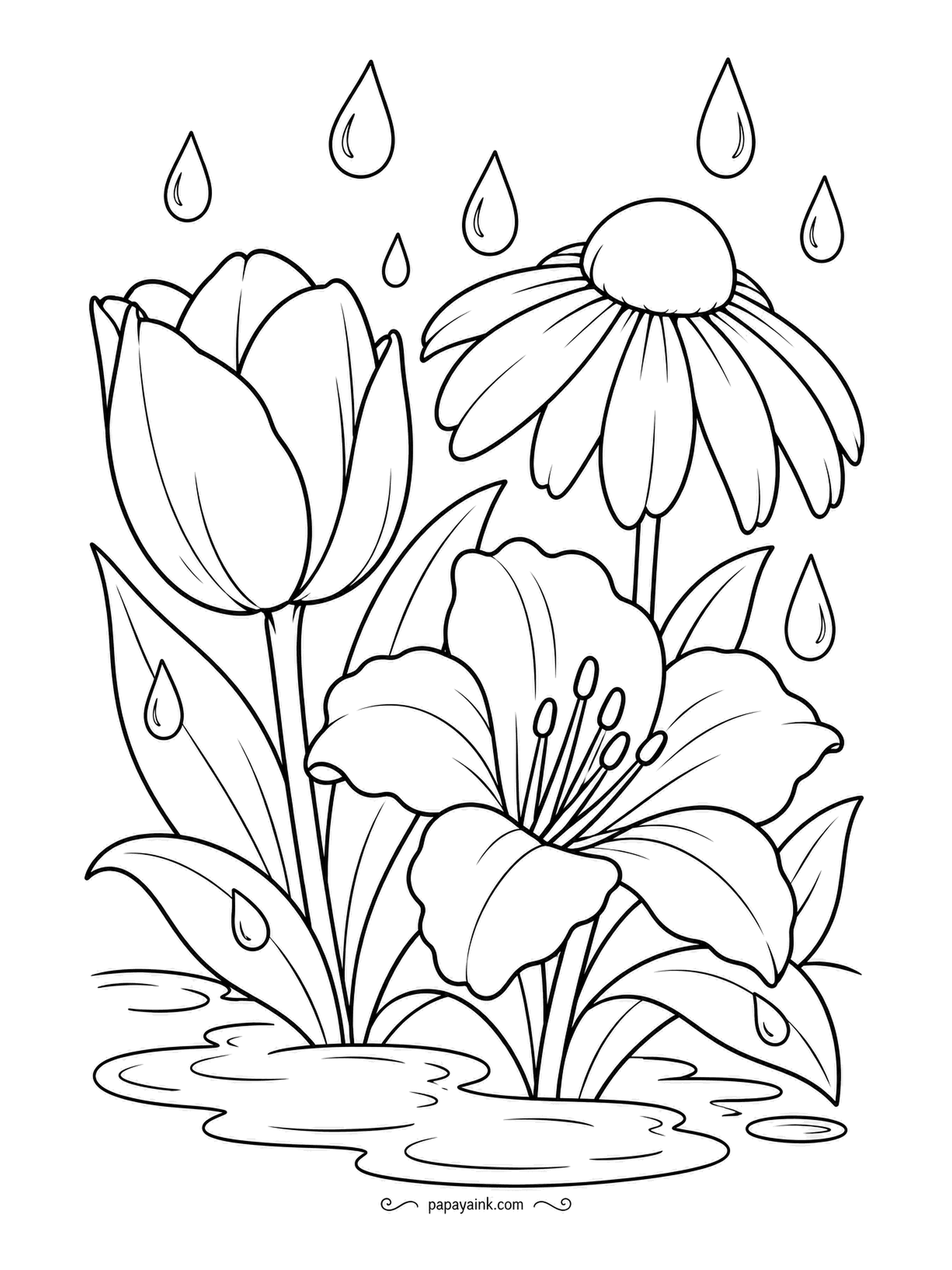 Garden Coloring Pages - Rain is falling in fat drops on a tulip, a coneflower and a lily, and a puddle has gathered at their feet. Petals look darker when wet, so push each flower a shade deeper than usual and leave the drops and the puddle edges untouched.