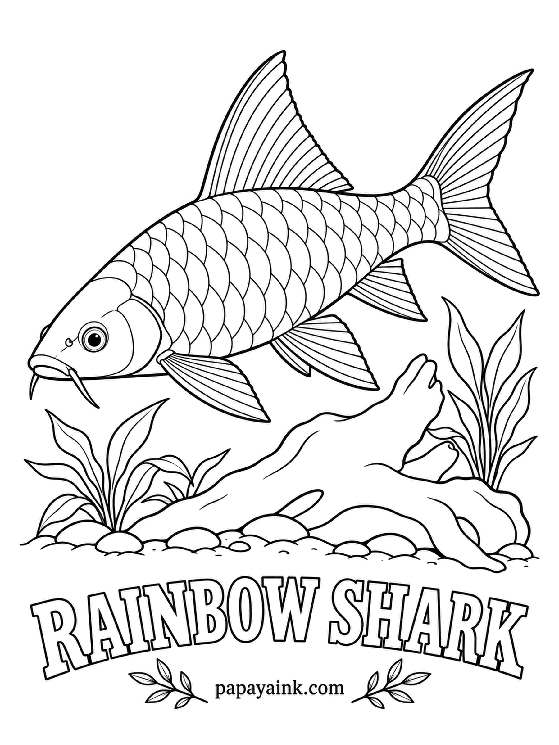 Aquarium Fish Coloring Pages - Charcoal body, every fin painted orange-red, and an attitude to match. A rainbow shark claims one cave or piece of driftwood and chases everyone else away from it. Go dark gray everywhere else so the fins really glow.