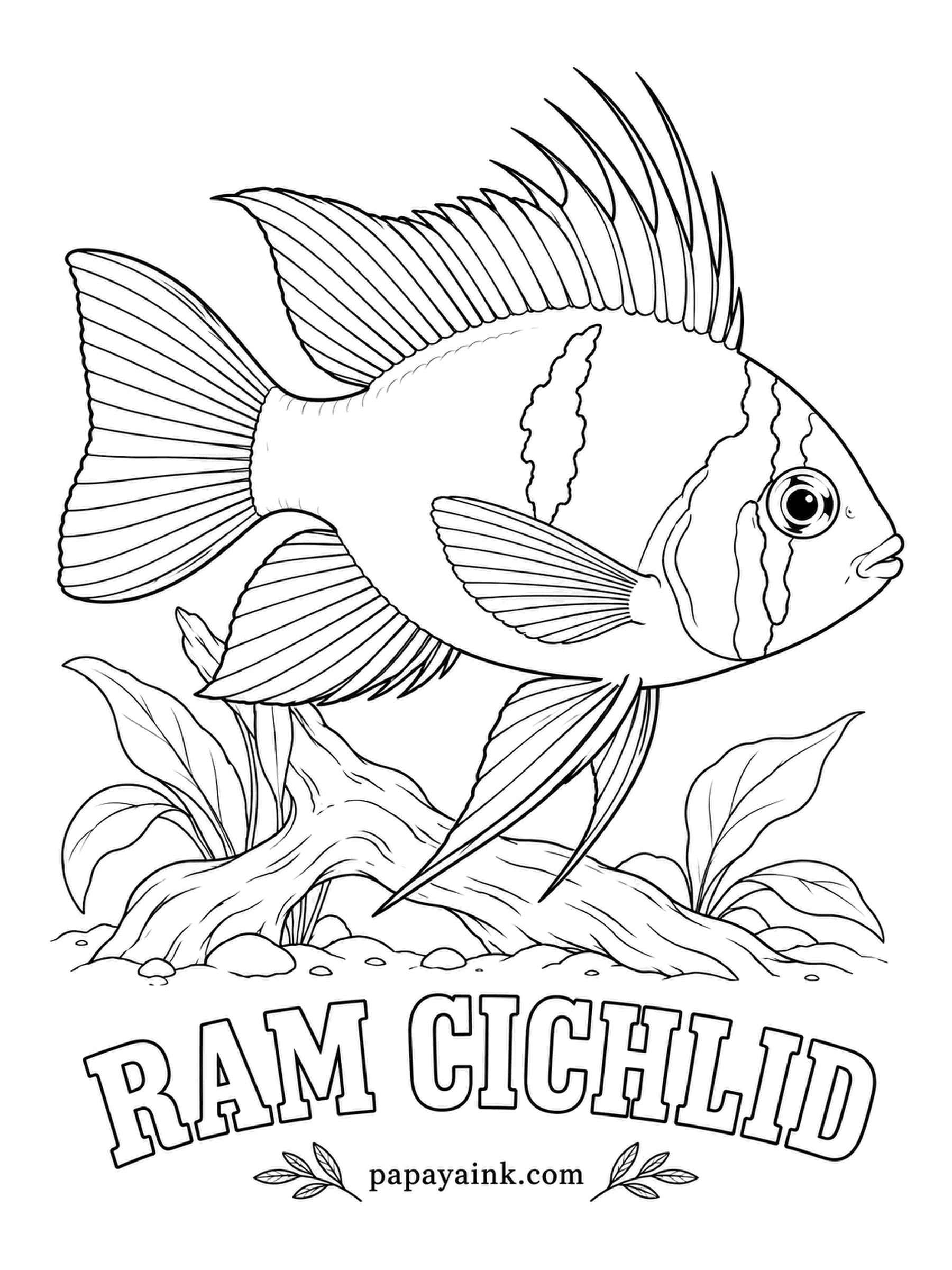 Aquarium Fish Coloring Pages - Ram is short for ramirezi, after Manuel Ramirez, who helped bring the fish out of Venezuela. Electric blue spangles scatter across gold, a black bar crosses the red eye, and the water must be warm. Leave tiny gaps between the spangles so they sparkle.