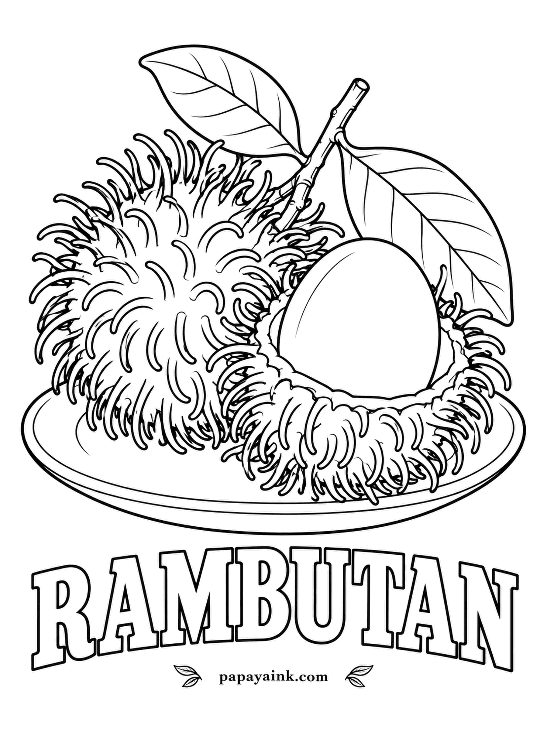 Printable Fruit Coloring Pages - Rambutan is named for its hair - rambut in Malay. Red shell with flexible spines tipped in green or yellow, and a white, lychee-like fruit inside. Detailed - give every spine its own stroke of color.