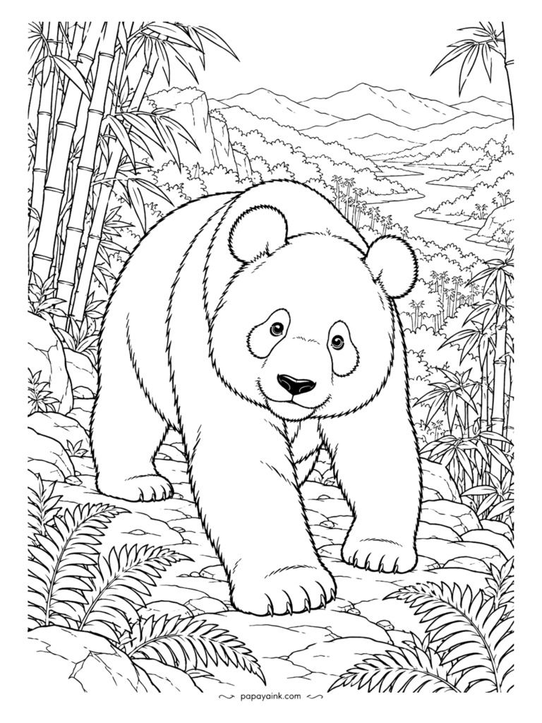 Panda Coloring Pages - Down a rocky slope comes a giant panda, with a misty valley and a stand of bamboo behind it. The fur is drawn stroke by stroke, so pencils will serve better than markers. Detailed.