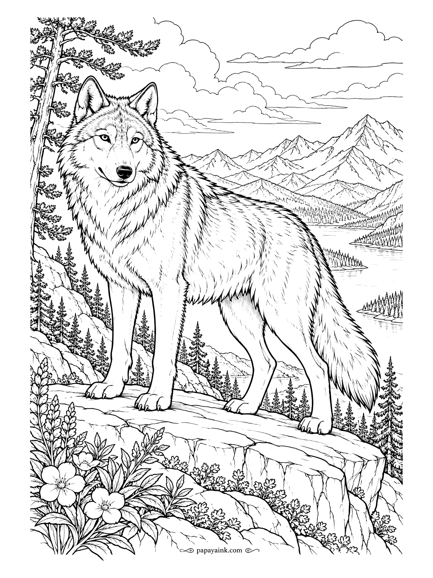 Wolf Coloring Pages - A gray wolf pauses on a rock ledge above a long alpine lake, a pine at its shoulder and snow peaks far behind. The fur is drawn in layered strokes, so blend two or three grays instead of one even coat. Detailed.
