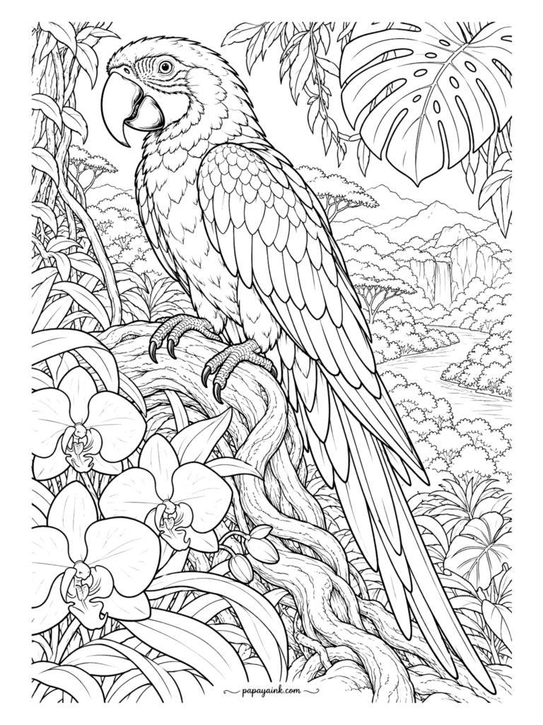 Parrot Coloring Pages - Mid-call on a vine-wrapped branch, a macaw with every feather drawn in, moth orchids below and a waterfall dropping into the valley behind. Detailed - sharpen the pencils and start with the beak.