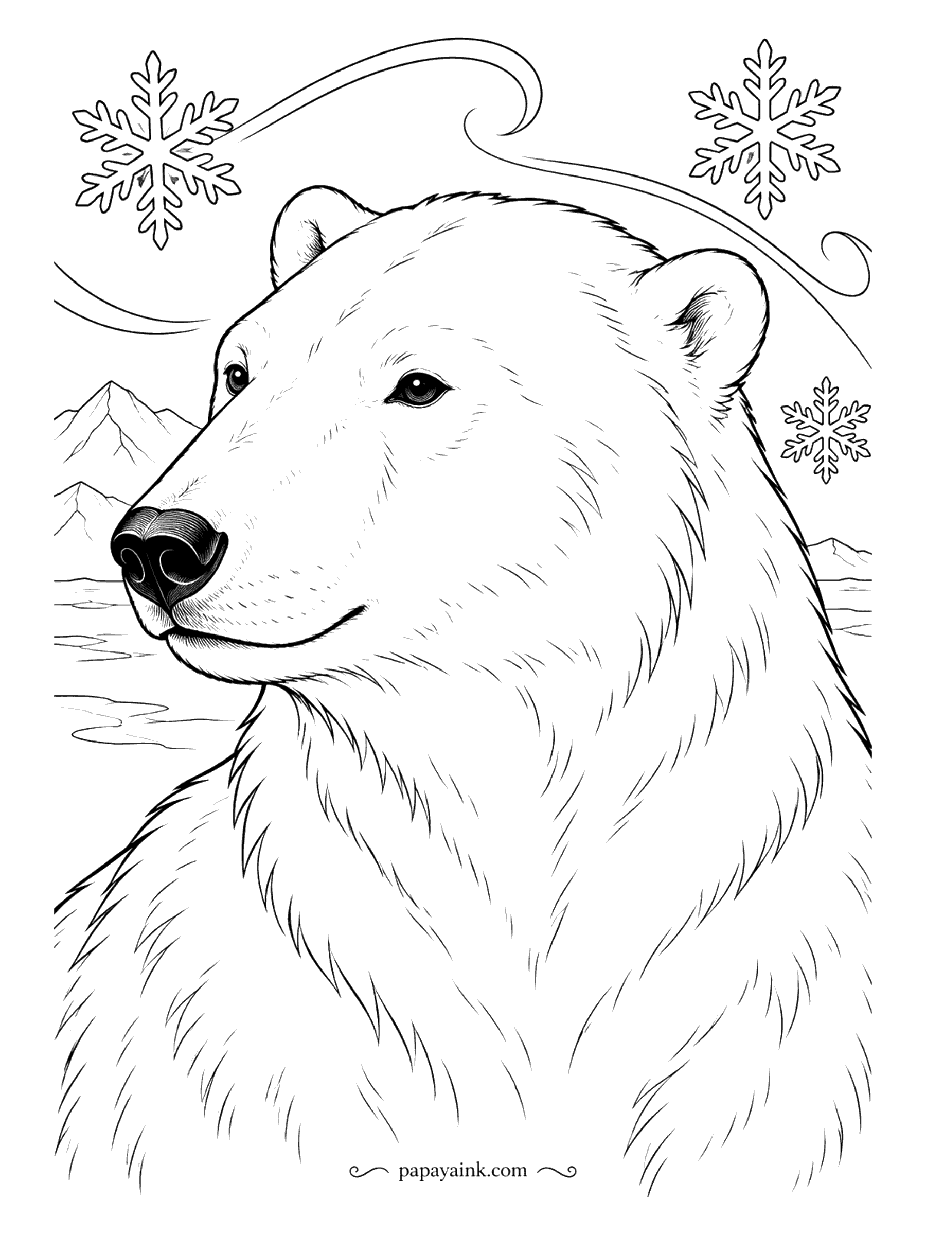 Polar Bear Coloring Pages - Every strand of fur is drawn in this close portrait, the black nose glistening and snowflakes drifting past on a curl of wind. Detailed. Leave most of the face white and build shadows under the chin with a sharp pencil.