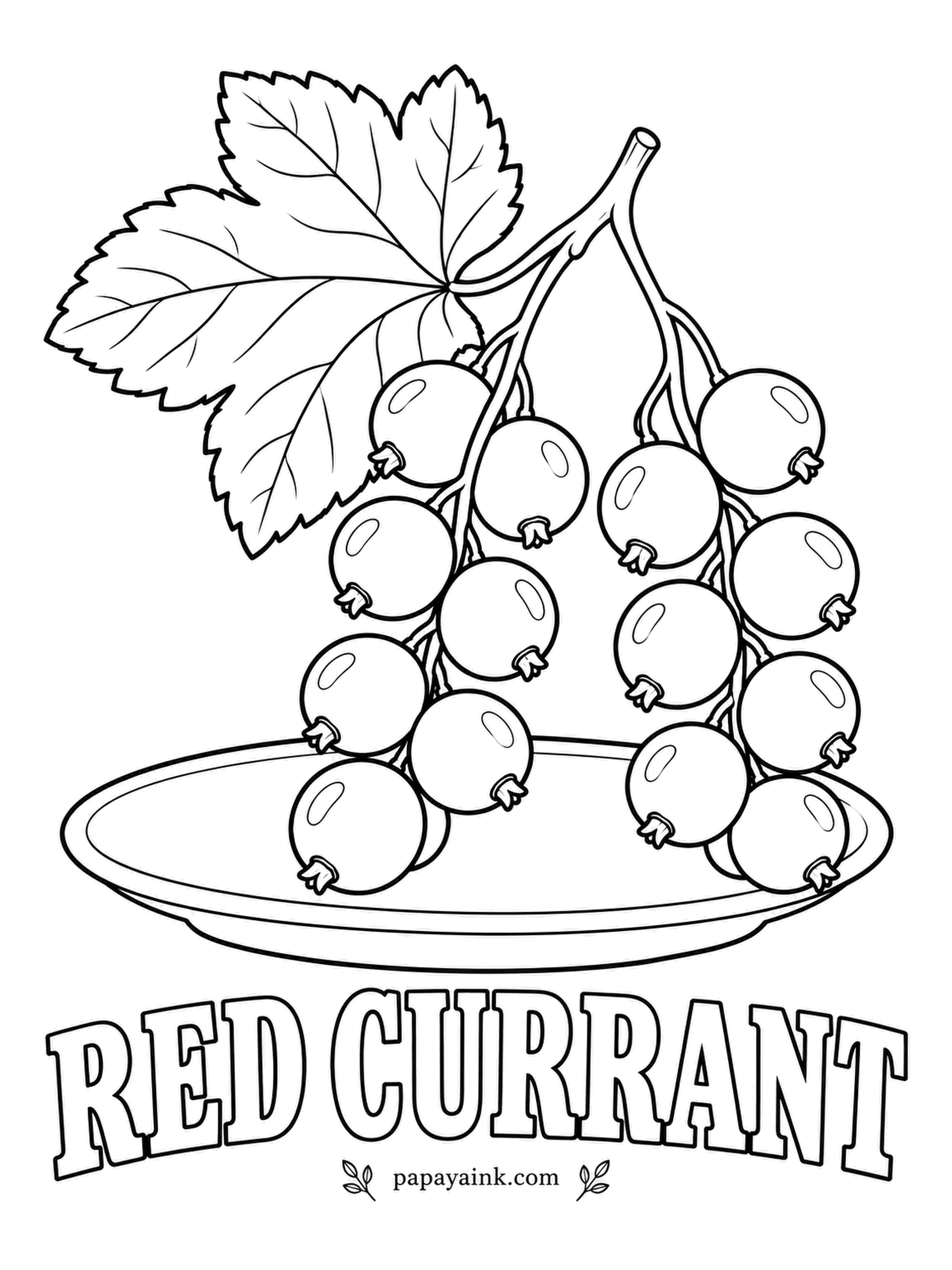 Printable Fruit Coloring Pages - Hold a red currant to the light and it glows, because the skin is close to transparent. The berries hang in long strings called strigs. Bright scarlet with a lighter shine on each berry, and the tiny dry tuft at the bottom.