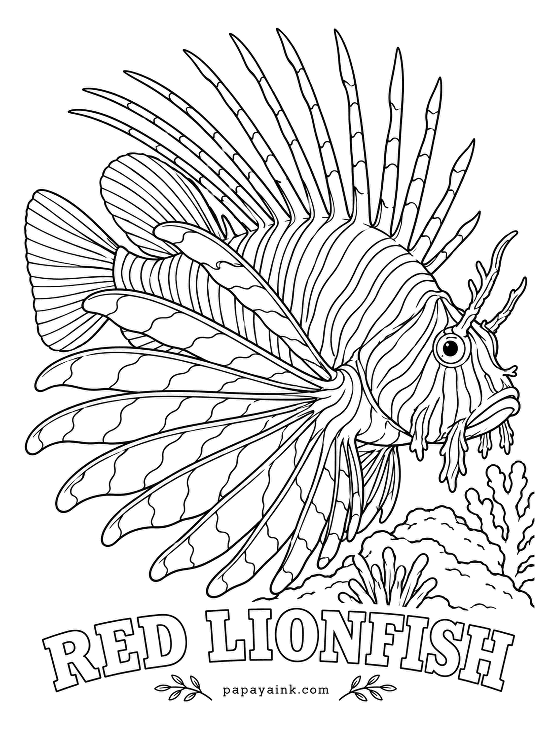 Ocean Fish Coloring Pages - Native to the Pacific, this fish has spread so widely through the Caribbean and off Florida that divers hold derbies to catch it, and restaurants serve the haul. Maroon and white stripes alternate over body and spines. Detailed.