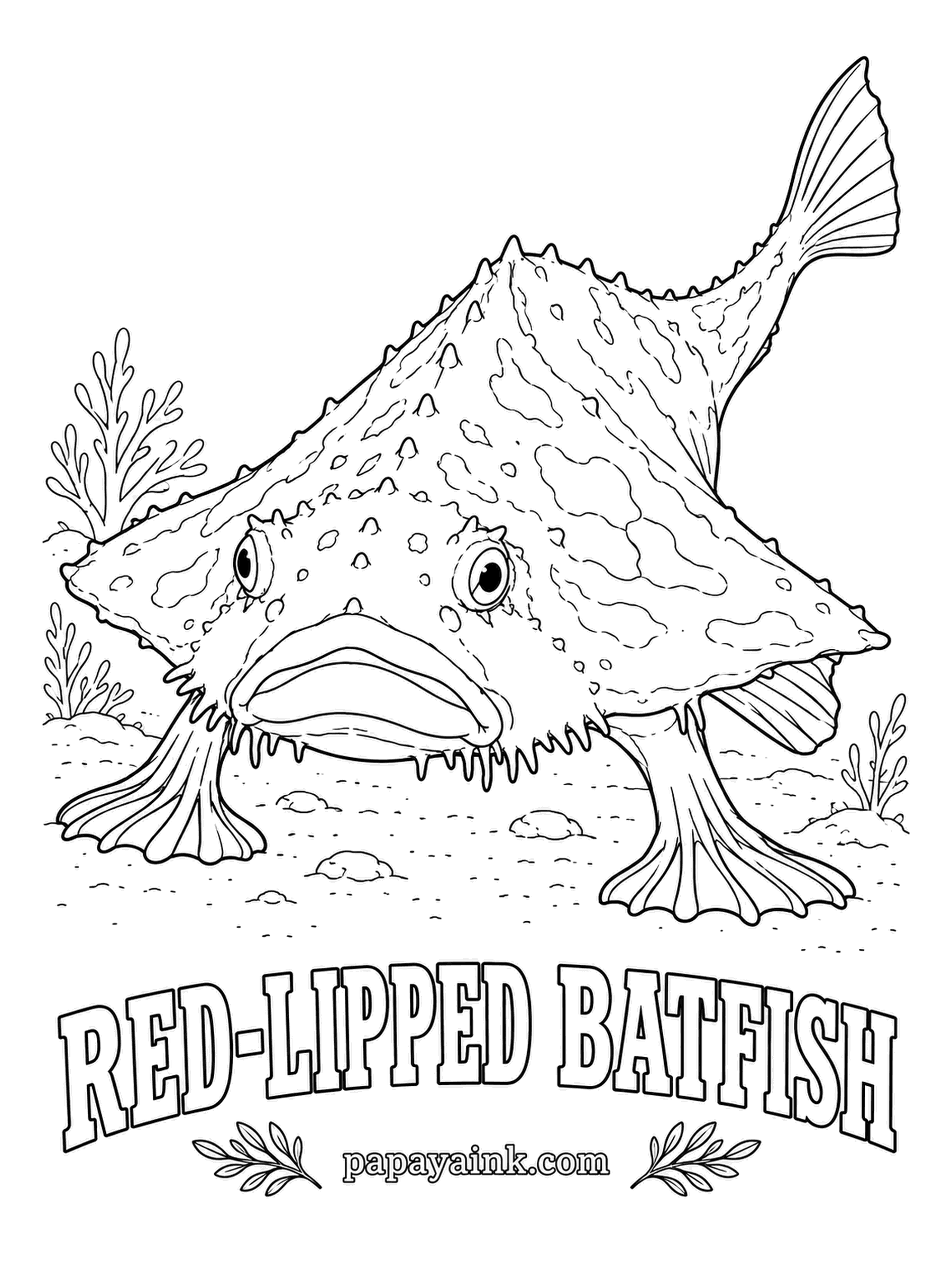 Ocean Fish Coloring Pages - Walking comes easier than swimming to this Galapagos fish, so it strolls the sea floor on stiff, leg-like fins. Nobody is sure why the lips are lipstick red. Sandy gray-brown on top, white underneath, and the lips, of course, scarlet.