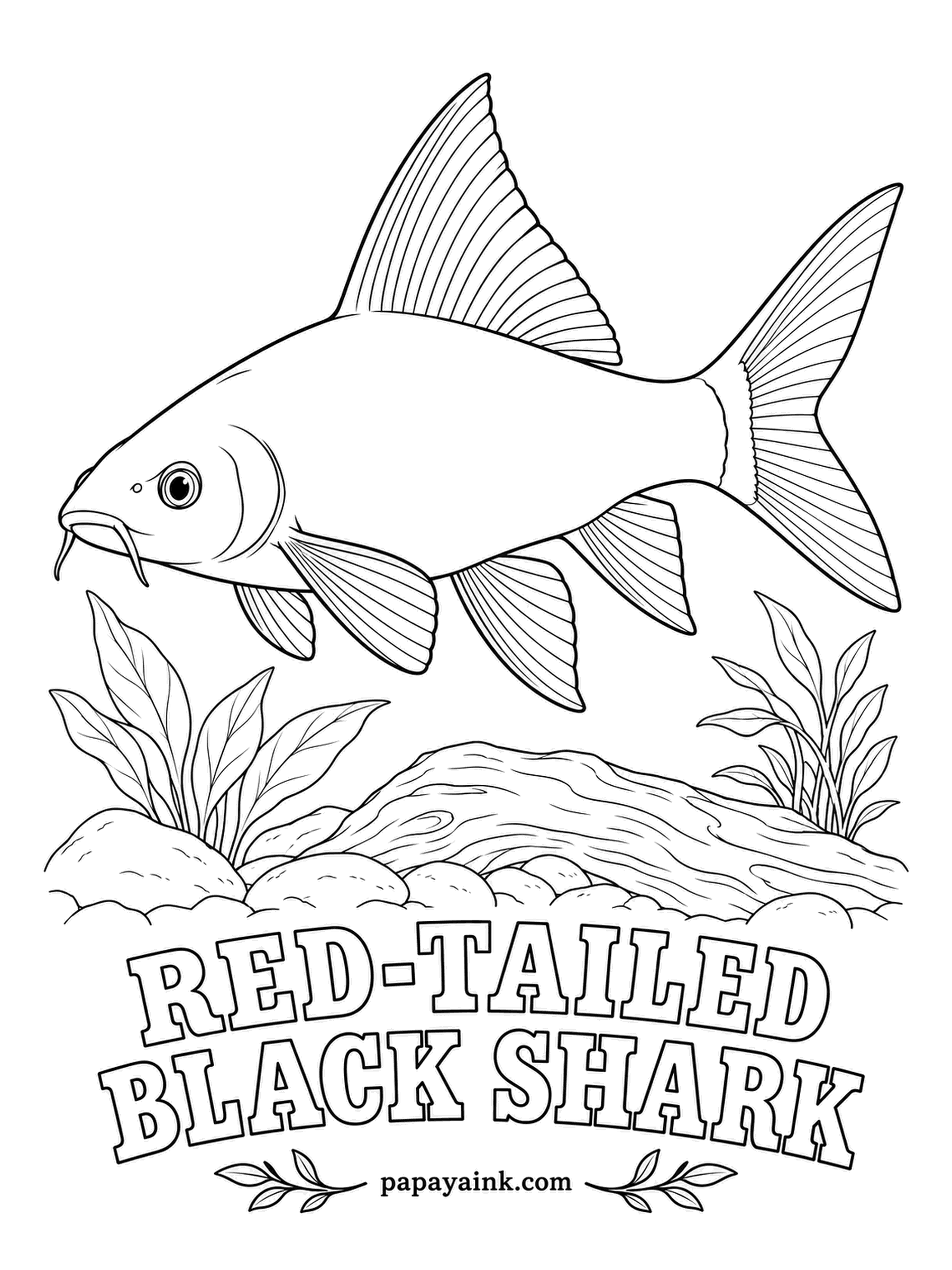Aquarium Fish Coloring Pages - Velvet black from nose to tail base, then a tail so red it looks borrowed from another fish. In the tank it grazes algae off rocks and guards its favorite corner. Press hard with black and leave a clean edge where the red begins.