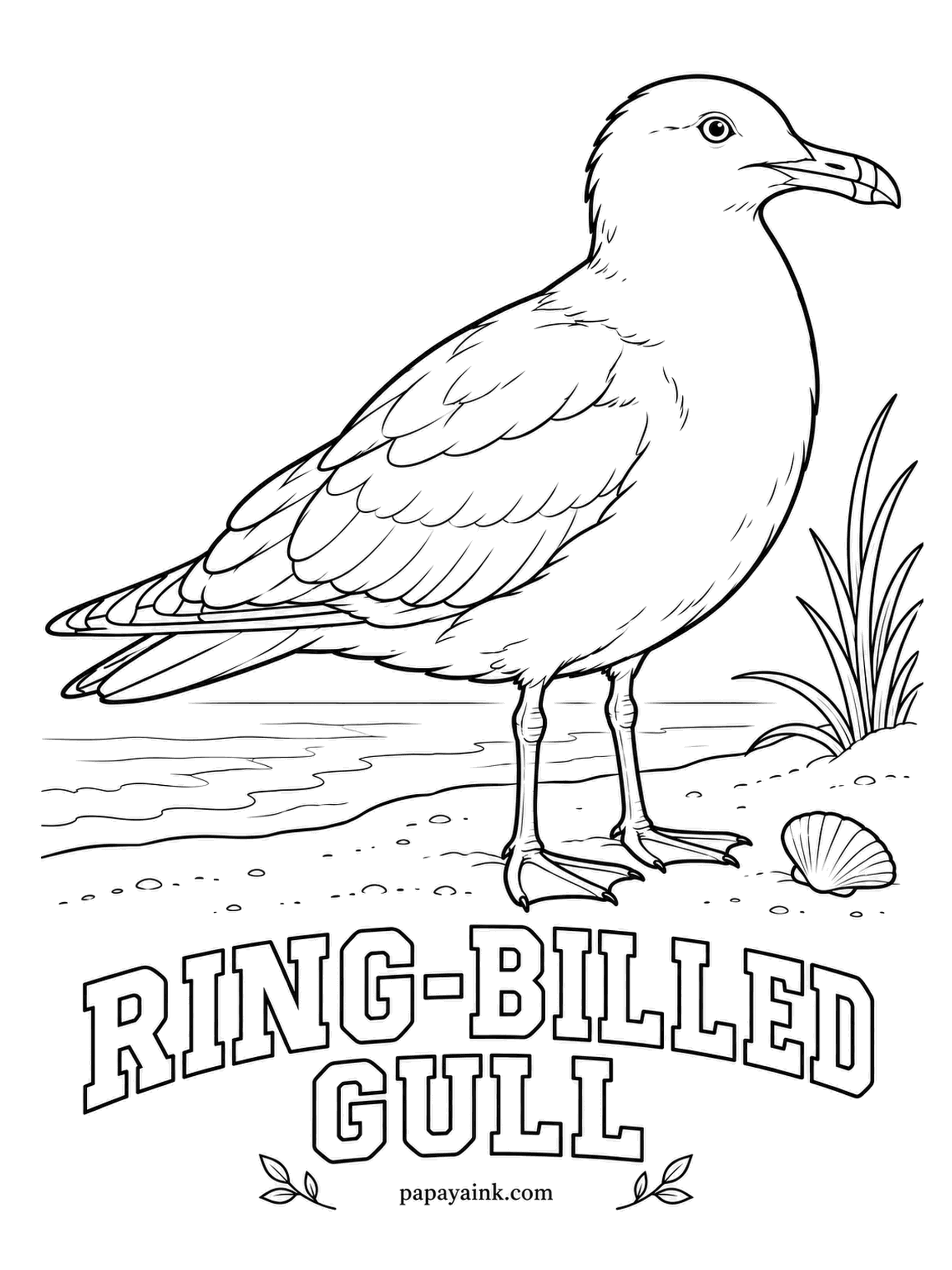 Realistic Bird Coloring Pages - Beach, parking lot, football stadium - the ring-billed gull is at home wherever someone drops a French fry. Check the beak for the black ring that names it. Pale gray back, white head and chest, yellow legs, black wingtips with white spots.