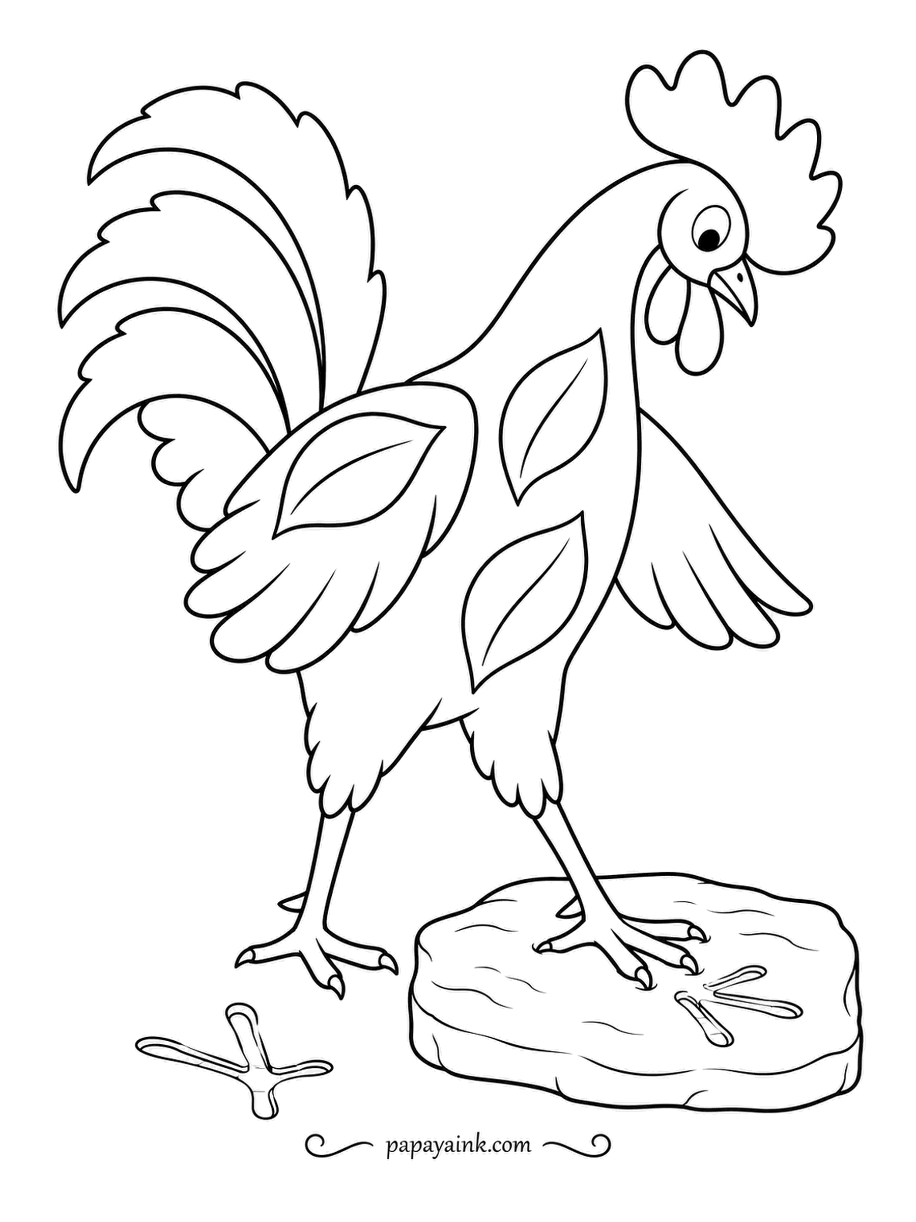 Chicken Coloring Pages - Pressing one foot into a slab of clay, a curious rooster leaves a neat print behind. Most chickens have four toes, three pointing forward and one pointing back, which is why their tracks look like arrows.