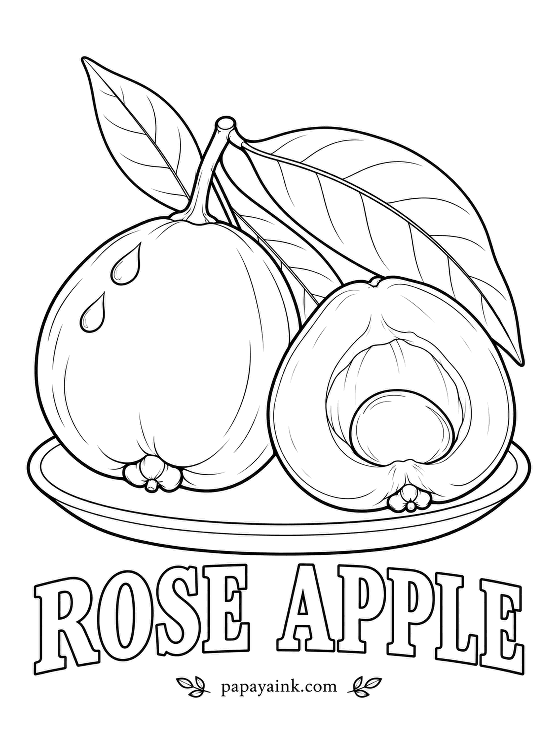 Printable Fruit Coloring Pages - Bite a rose apple and it tastes the way roses smell. The fruit is almost hollow, so the seed can rattle loose inside the cavity, just as the cut one shows. Pale yellow with a faint pink blush.