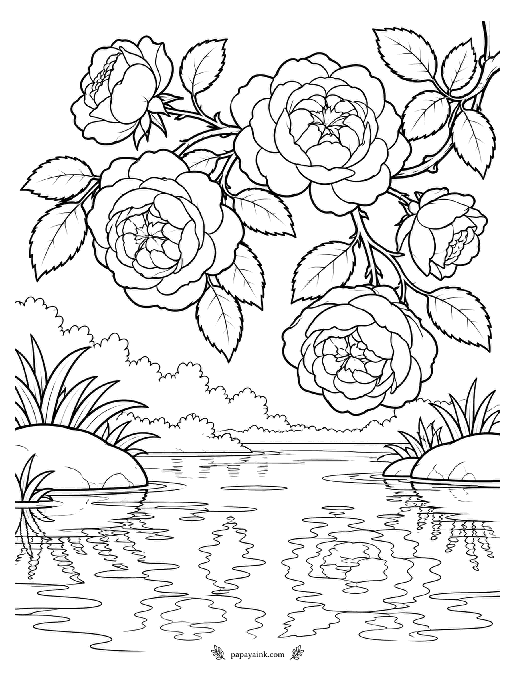 Rose Coloring Pages - Roses overhead and their rippled reflection below - the water does half the drawing. A low bank with rocks and grasses frames the pond. Repeat the petal colors below, a shade duller and broken into stripes.