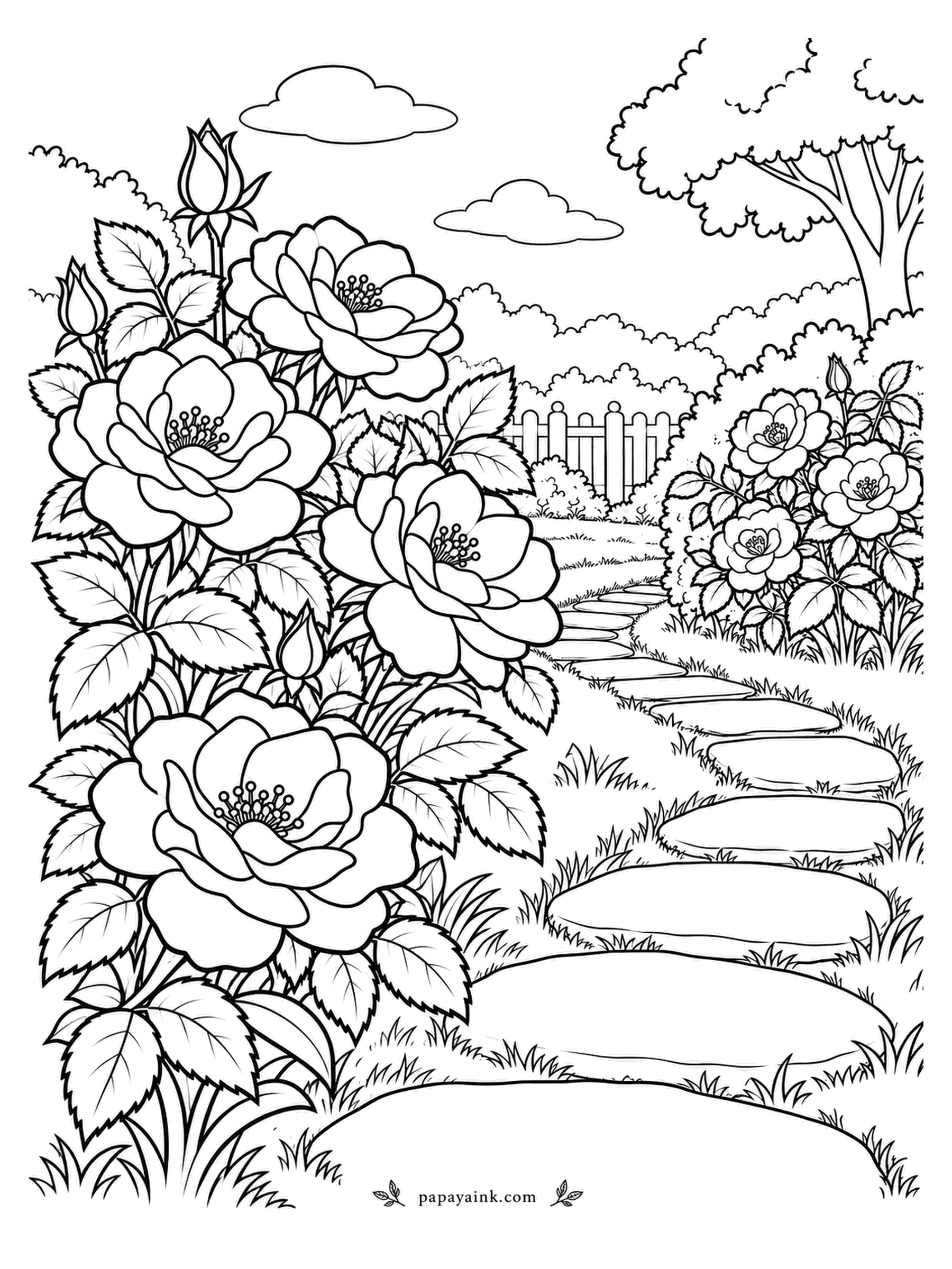 Rose Coloring Pages - Stepping stones set into the lawn invite slow walking, which is exactly what a rose border needs. Big bushes crowd the left side, smaller ones the right, with a picket fence at the end. Leave the stones light against the grass.