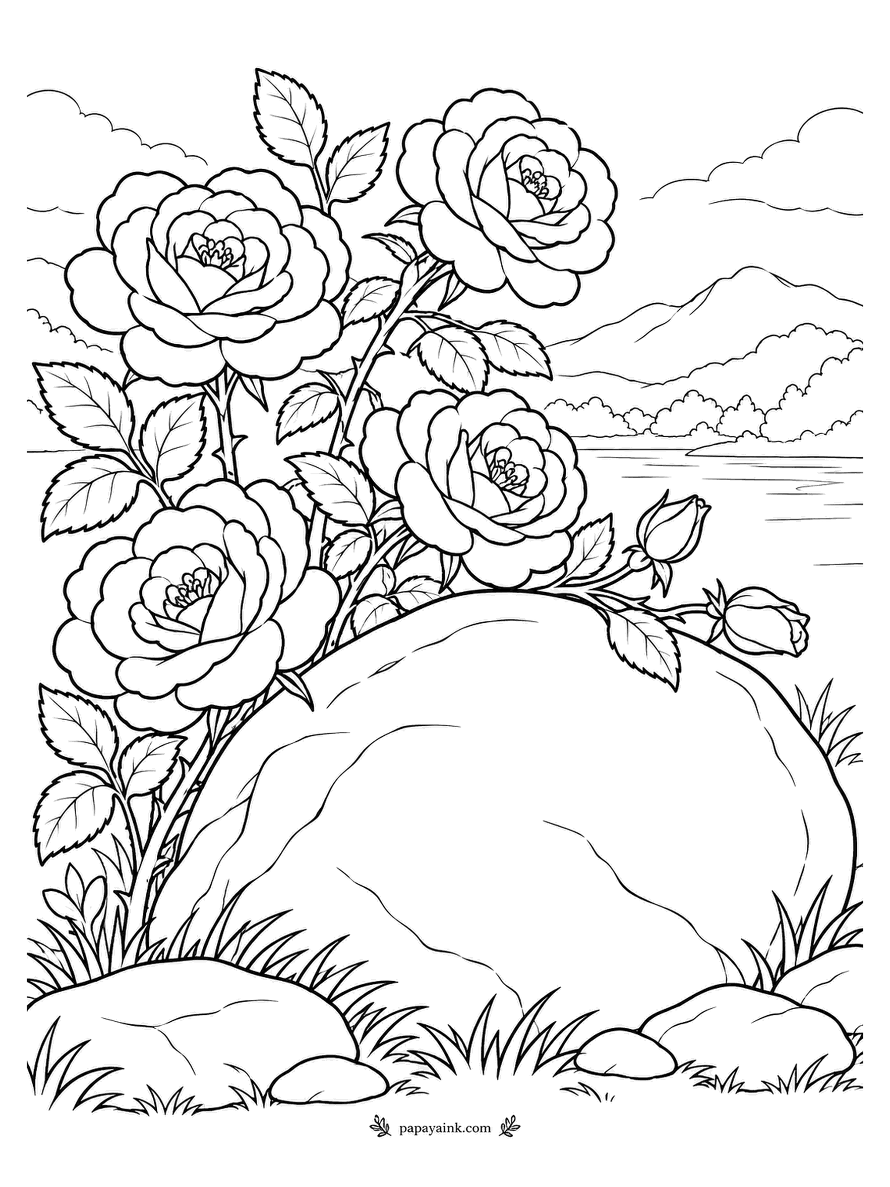 Rose Coloring Pages - The boulder was here first, so the rose simply grew around it. Behind them, a lake stretches toward low mountains. A huge plain rock to shade in gray - a calm page.