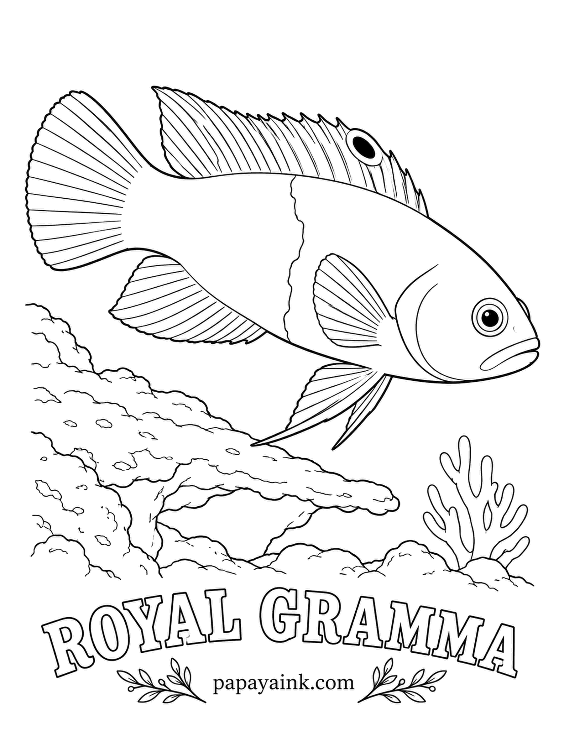 Ocean Fish Coloring Pages - Violet in front, gold behind, with the border between them drawn as if by hand, and a black dot on the front of the dorsal fin. Under ledges it swims upside down, keeping its belly toward the rock.