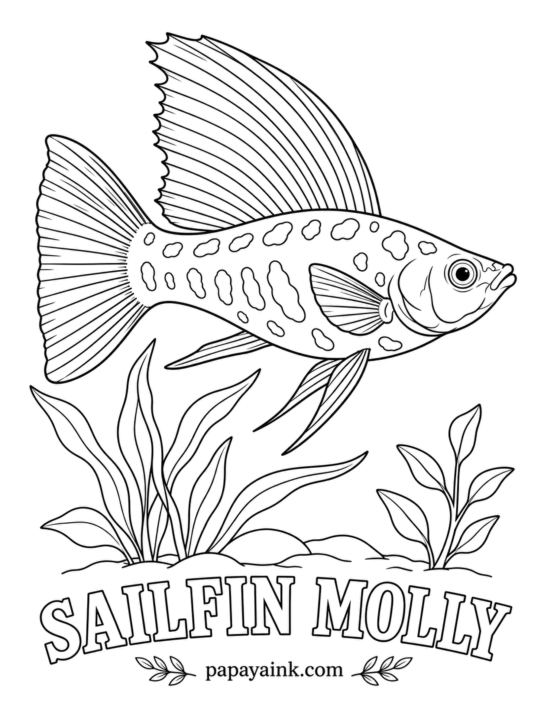 Aquarium Fish Coloring Pages - This molly is native to the United States, from the Carolinas down the Gulf Coast into Mexico, and it does just as well in brackish water. Males raise that huge dorsal fin to show off. Dot the spots in rows of olive and orange.