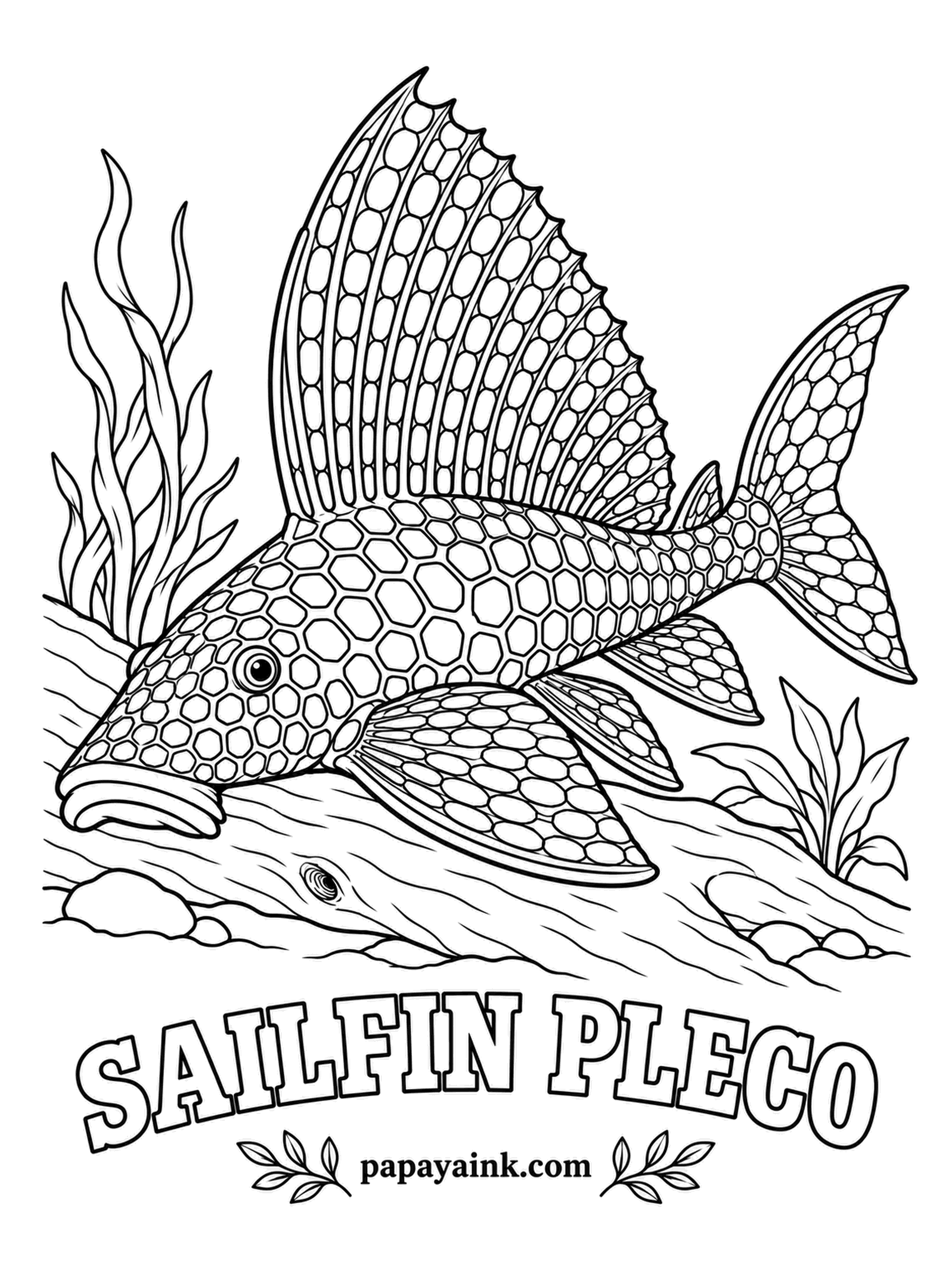 Aquarium Fish Coloring Pages - That sail of a dorsal fin is real, and so is the size: this Amazon pleco can outgrow a forearm. Its whole body is patterned like a leopard, dark patches split by a lighter net. Detailed - fill the honeycomb cells in two browns.