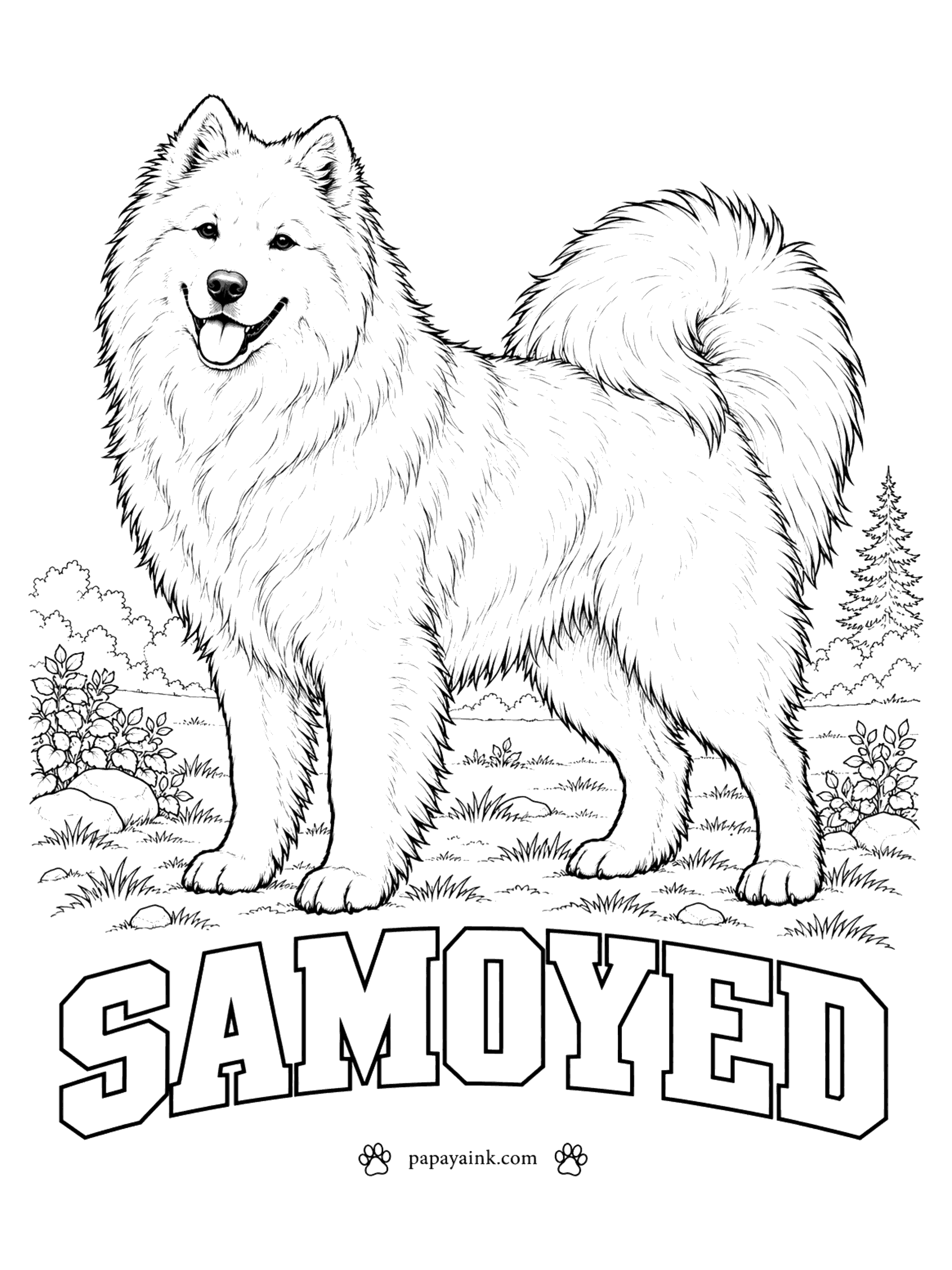 Free Printable Dog Coloring Pages - That upturned mouth is known as the Sammy smile, and it kept the dog from drooling icicles in the Siberian cold. A Samoyed is white, cream or biscuit. Put pale blue in the shadows of the coat and make the lips and nose black.