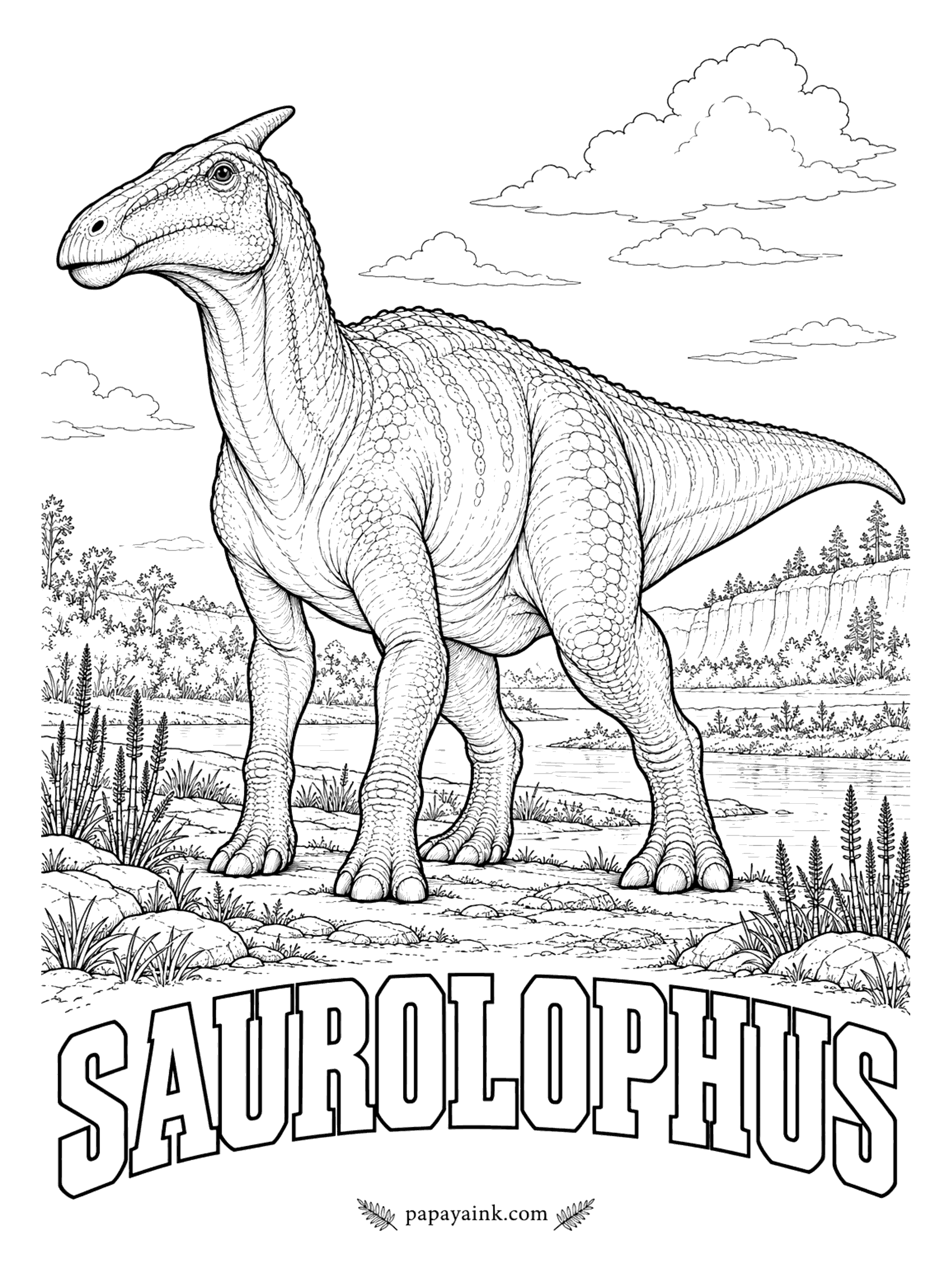 Free Printable Dinosaur Coloring Pages - A single spike of bone slants back from the top of the skull. Saurolophus (sore-OL-oh-fus, lizard crest) is one of the few dinosaurs known from two continents, with one species in Canada and a larger one in Mongolia. A duck-billed plant-eater 27 to 40 feet long. About 70 million years ago.