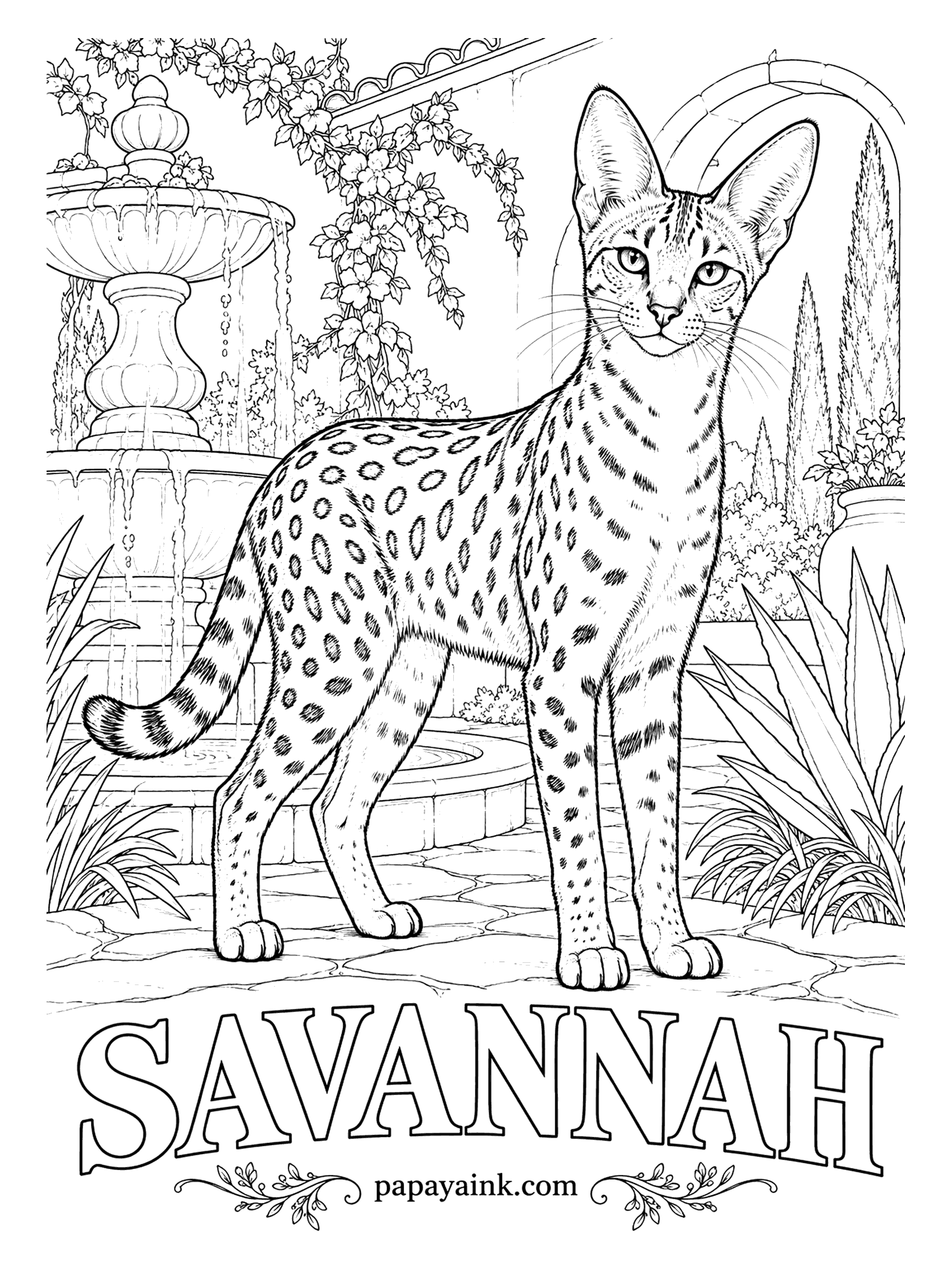 Free Printable Cat Coloring Pages - Part serval, part house cat, and the tallest breed of the lot, the Savannah poses by a courtyard fountain on long legs. Brown spotted is the usual coat: golden ground, bold black spots. Silver, solid black and black smoke are the others. Detailed.