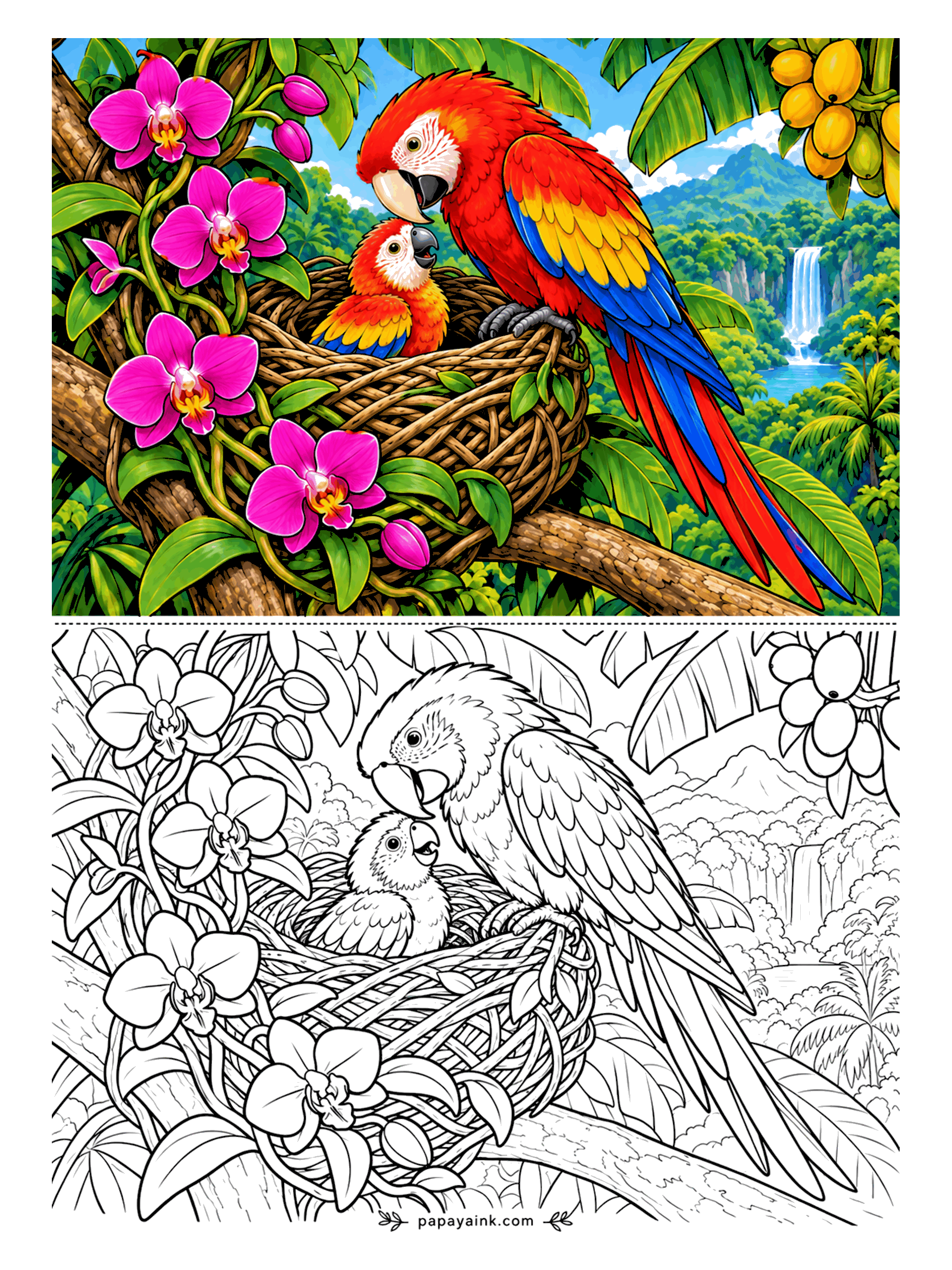 Parrot Coloring Pages - Somebody in the nest wants feeding: the scarlet macaw's chick looks up from the woven twigs while magenta orchids climb the branch and a waterfall drops into the valley. Red, yellow and blue in bands on the wings, as the sample shows. Detailed.