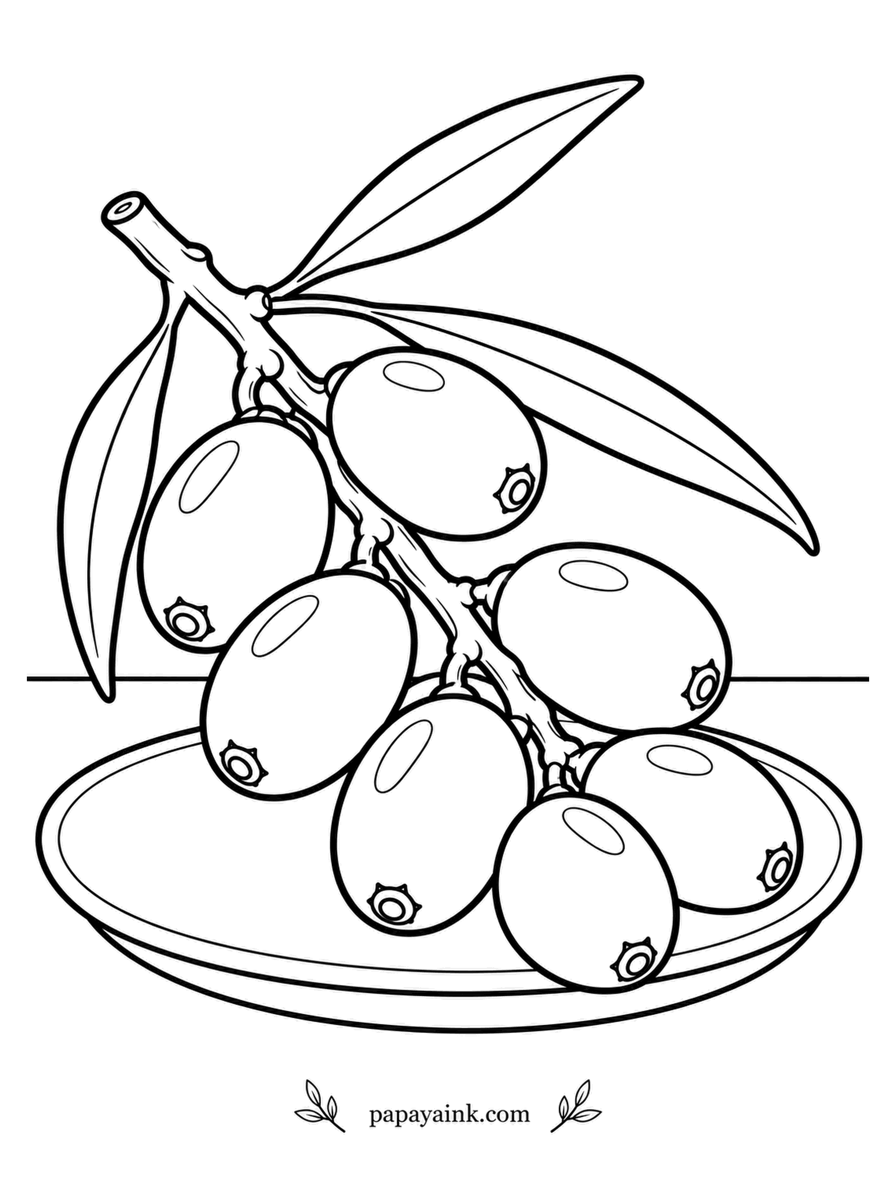 Fruit Coloring Pages - So many berries crowd a sea buckthorn branch that some growers cut whole branches, freeze them and shake the fruit off. The shrub grows wild from the Baltic coast to the Himalayas. One heavy sprig lies across a plate. Glowing orange berries, narrow silvery leaves.