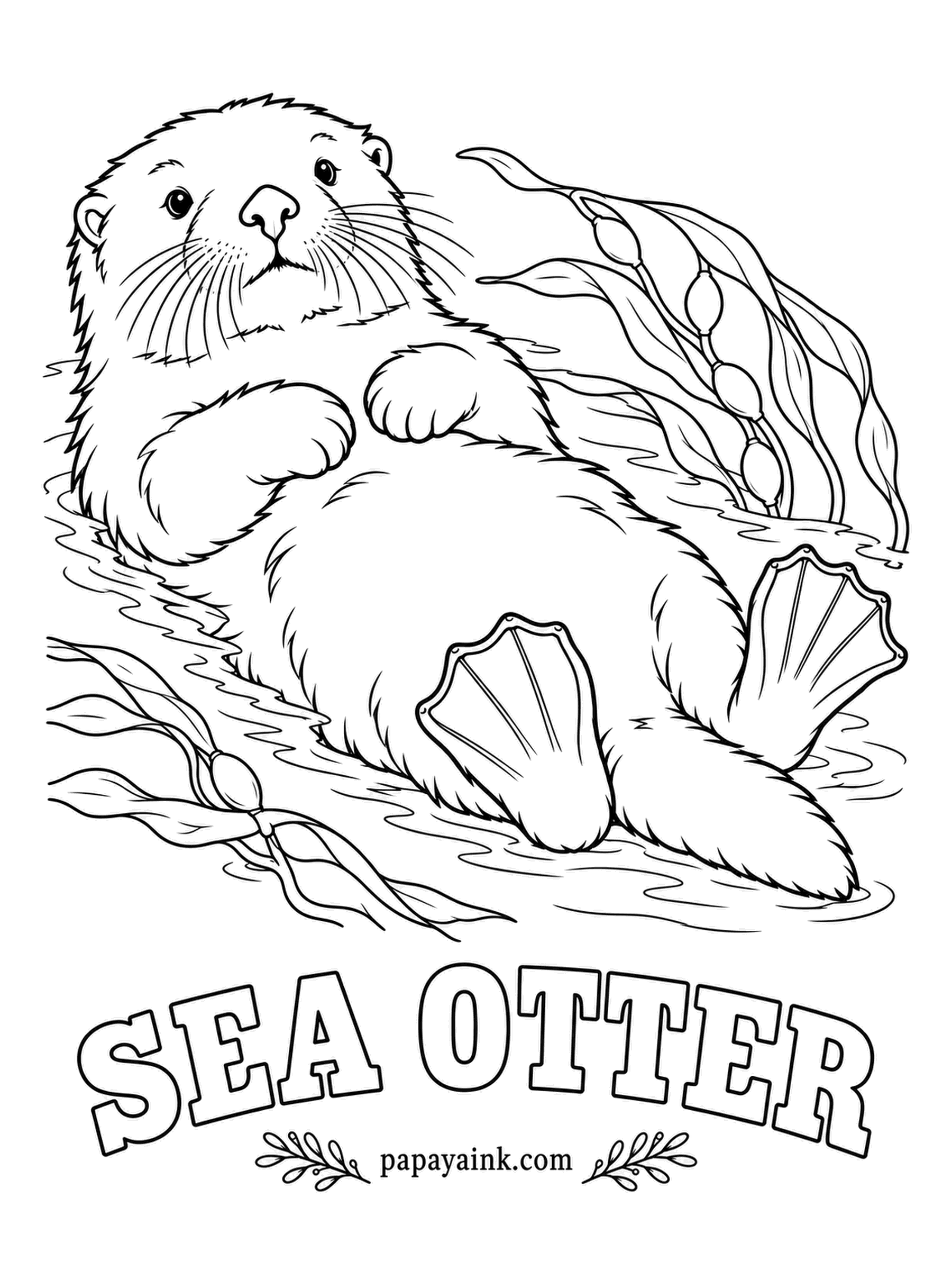 Sea Creature Coloring Pages - Floating on its back is the whole lifestyle: the sea otter eats, sleeps and grooms up there, wrapped in kelp so it does not drift off. Rich brown fur, a pale cream face, and the kelp strands in olive green around it.