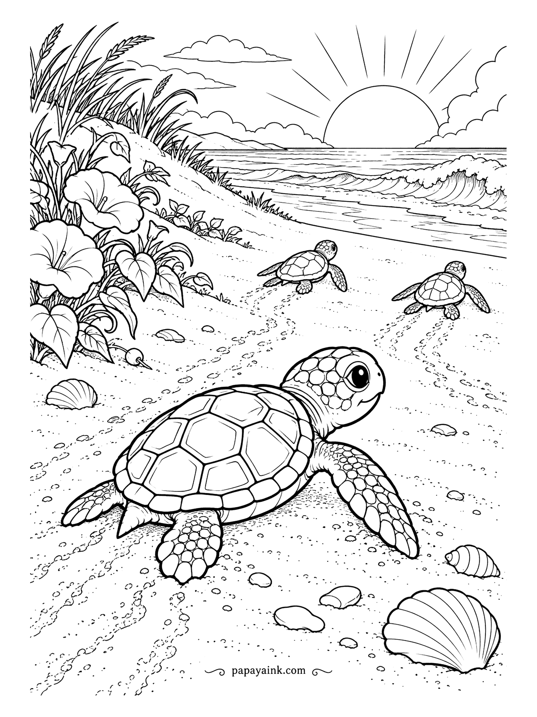 Turtle Coloring Pages - First light, first crawl. A sea turtle hatchling scrambles down the dune toward the surf while two siblings are already ahead, tracks trailing behind them in the sand. Keep the sky pale so the rising sun stays the brightest point.