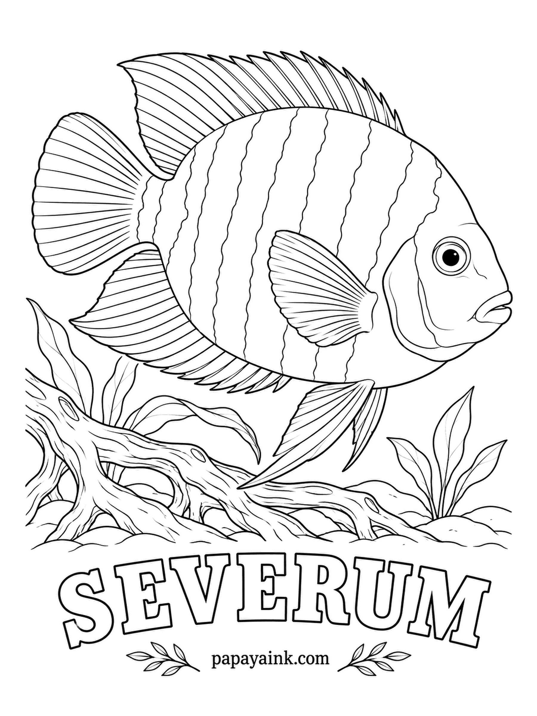 Aquarium Fish Coloring Pages - Young severums wear the dark bands drawn here, but as they grow the stripes fade and the face fills with red-brown freckles. This big, mellow fish from the Amazon also goes by banded cichlid. Try golden green with soft gray bands.