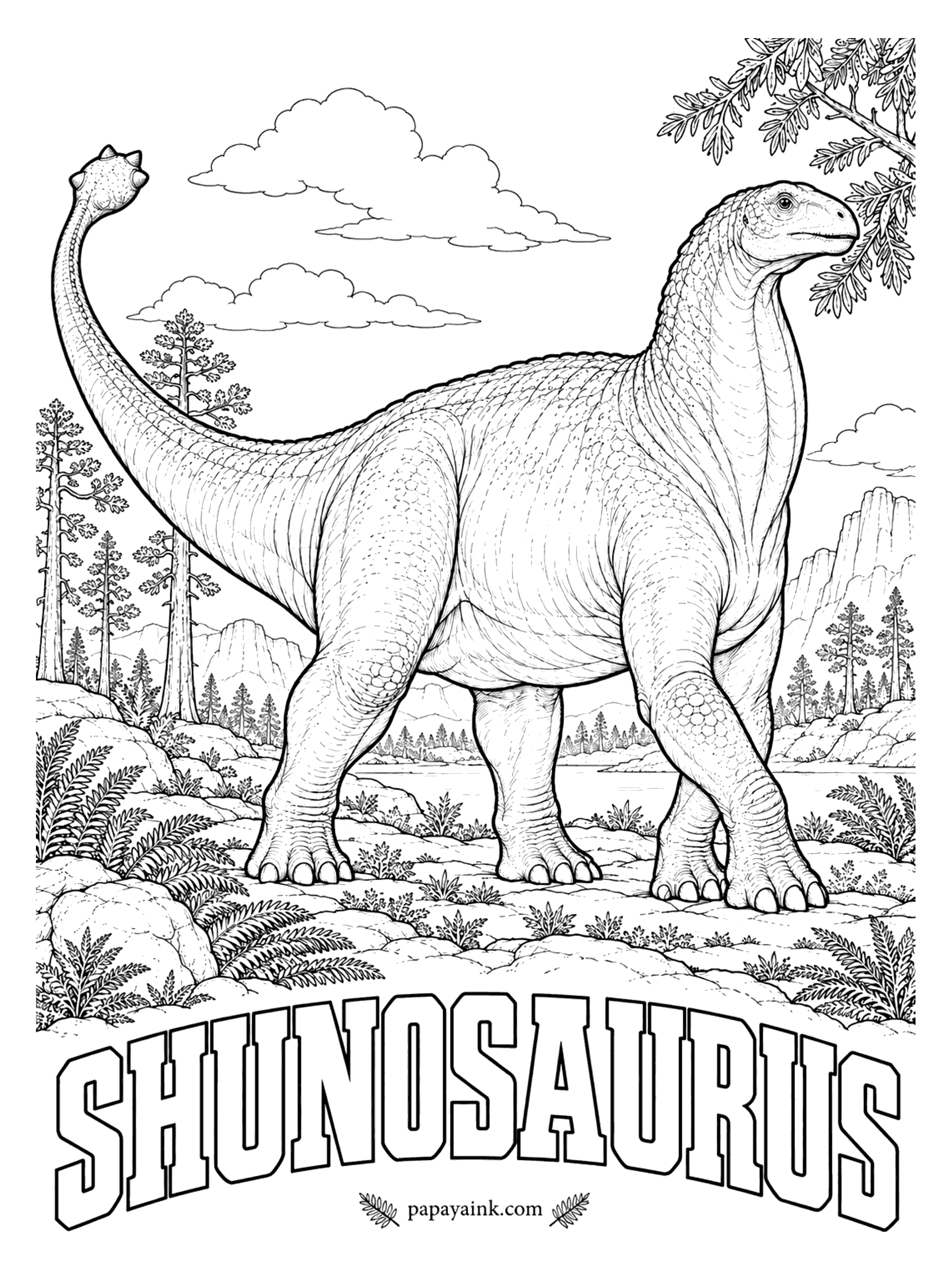 Free Printable Dinosaur Coloring Pages - Meet a long-neck with a weapon: a small spiked club of bone at the end of the tail. Shunosaurus (SHOO-no-SORE-us, Shu lizard, after an old name for Sichuan) was a plant-eater about 31 feet long with a short neck for its kind, known from about twenty skeletons, several nearly complete. China, about 160 million years ago.