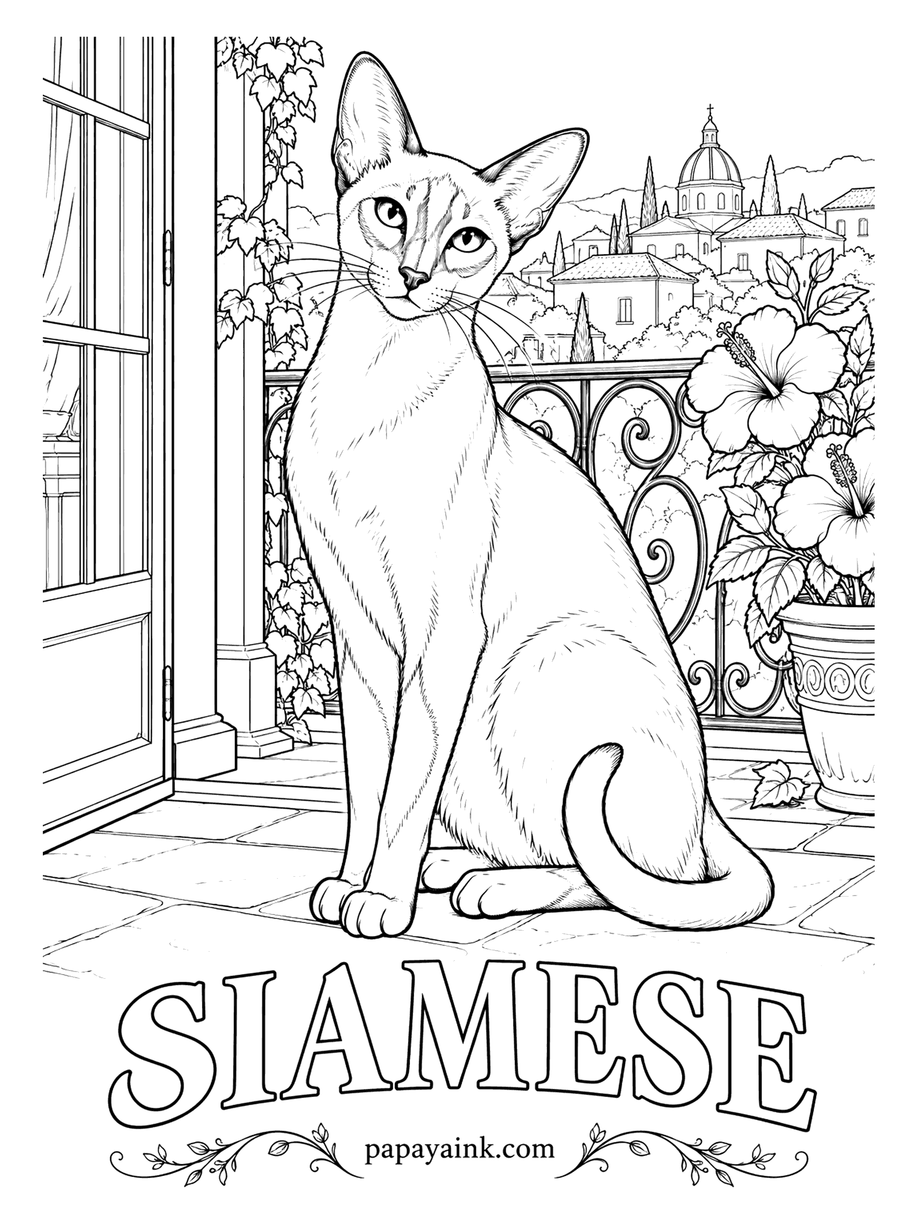Free Printable Cat Coloring Pages - Slim, elegant and watching the town below from a terrace. A Siamese is cream or pale fawn on the body with dark points on the mask, ears, legs and tail: seal, blue, chocolate or lilac. Almond-shaped blue eyes. Hold the body nearly white.