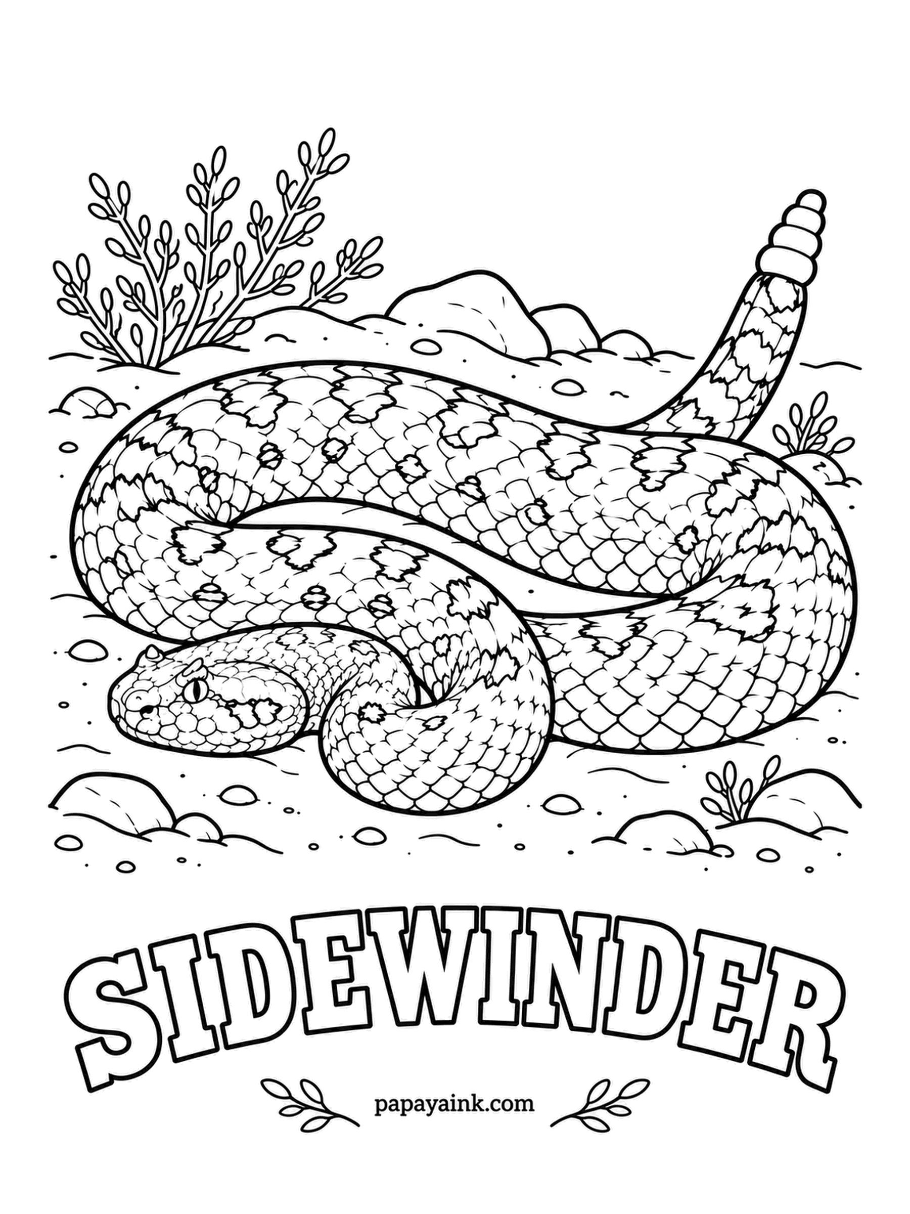 Reptile Coloring Pages - Instead of slithering forward, the sidewinder throws its body sideways across hot sand and leaves a row of J-shaped tracks. A small horn above the eyes gives it the other name, horned rattlesnake. Pale sand and pinkish tan with faint darker spots.