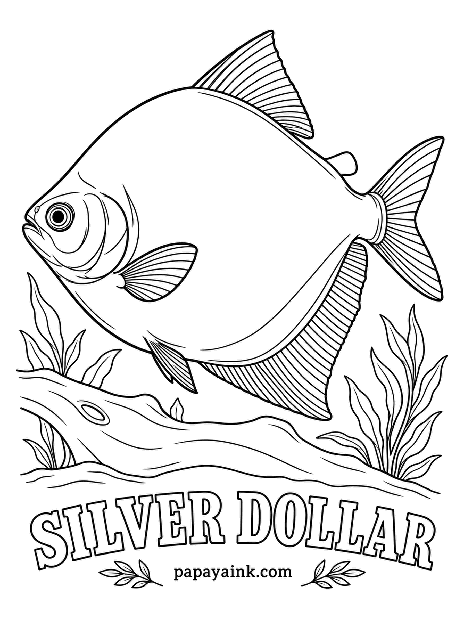 Aquarium Fish Coloring Pages - A cousin of the piranha that would rather eat your plants than anything else. Round, flat and coin-bright, it was named for the old silver dollar. Shade it in cool grays and add a touch of red to the front of the anal fin.
