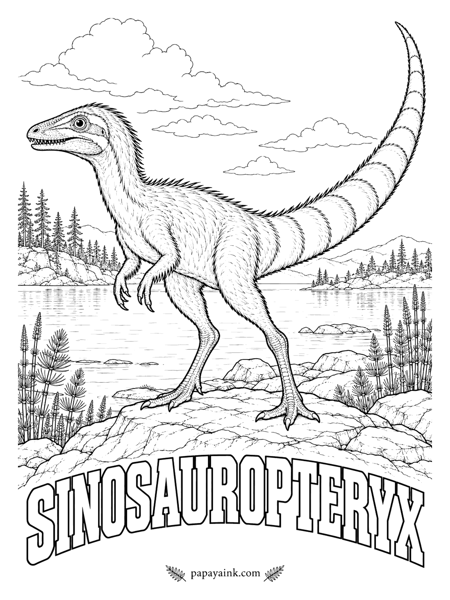 Free Printable Dinosaur Coloring Pages - In 1996 this little hunter became the first dinosaur outside the birds found with feathers, a coat of simple fuzz. Pigment in the fossil later showed its colors: reddish-brown with a striped tail. Sinosauropteryx (SIGH-no-sore-OP-ter-ix, Chinese reptile wing) was about 3 feet long. China, about 125 million years ago.