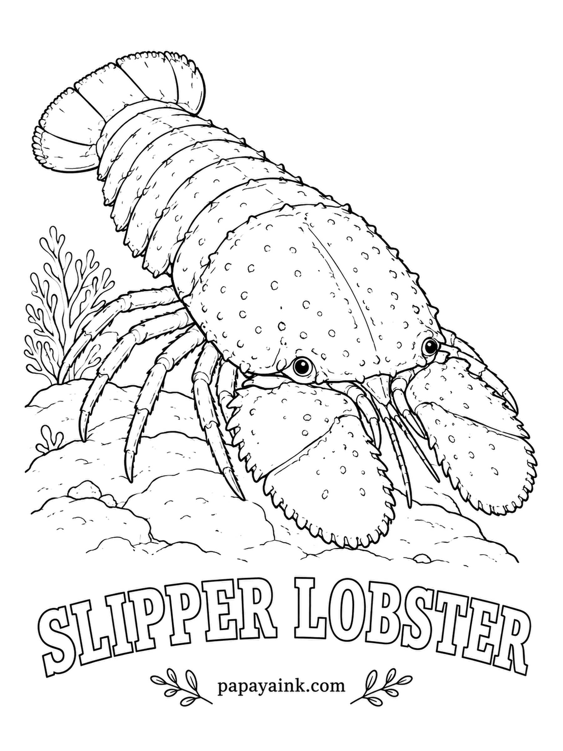Sea Creature Coloring Pages - The flat plates on its face are not claws but antennae, reshaped into shovels for digging in sand. It looks like something stepped on it, which is exactly why it hides so well. Tan to brown with orange speckles.