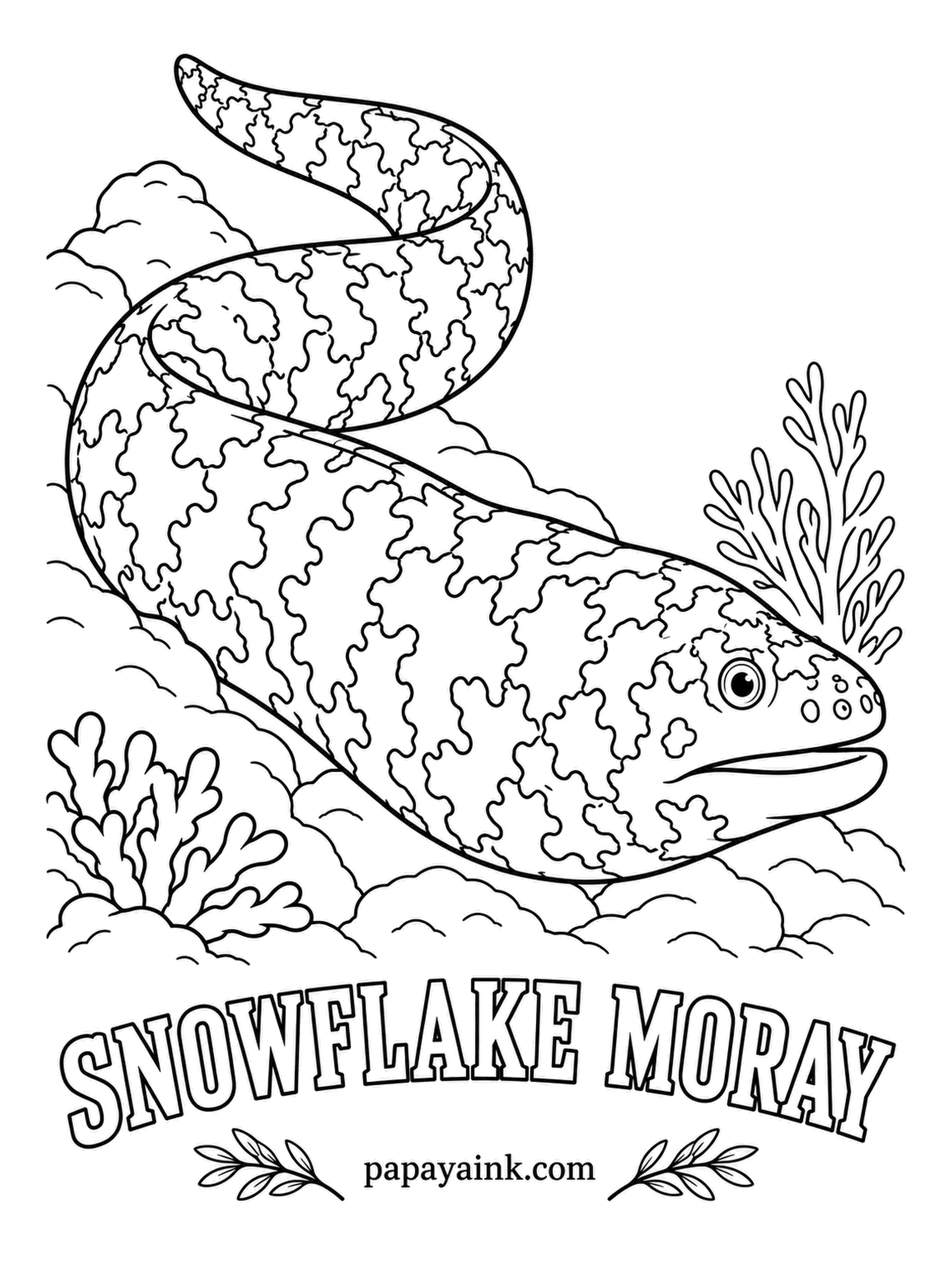 Ocean Fish Coloring Pages - Instead of fangs it has blunt, rounded teeth for cracking crabs and shrimp, which makes it one of the calmer morays. Cream ground, black branching blotches, and yellow centers inside many of them.