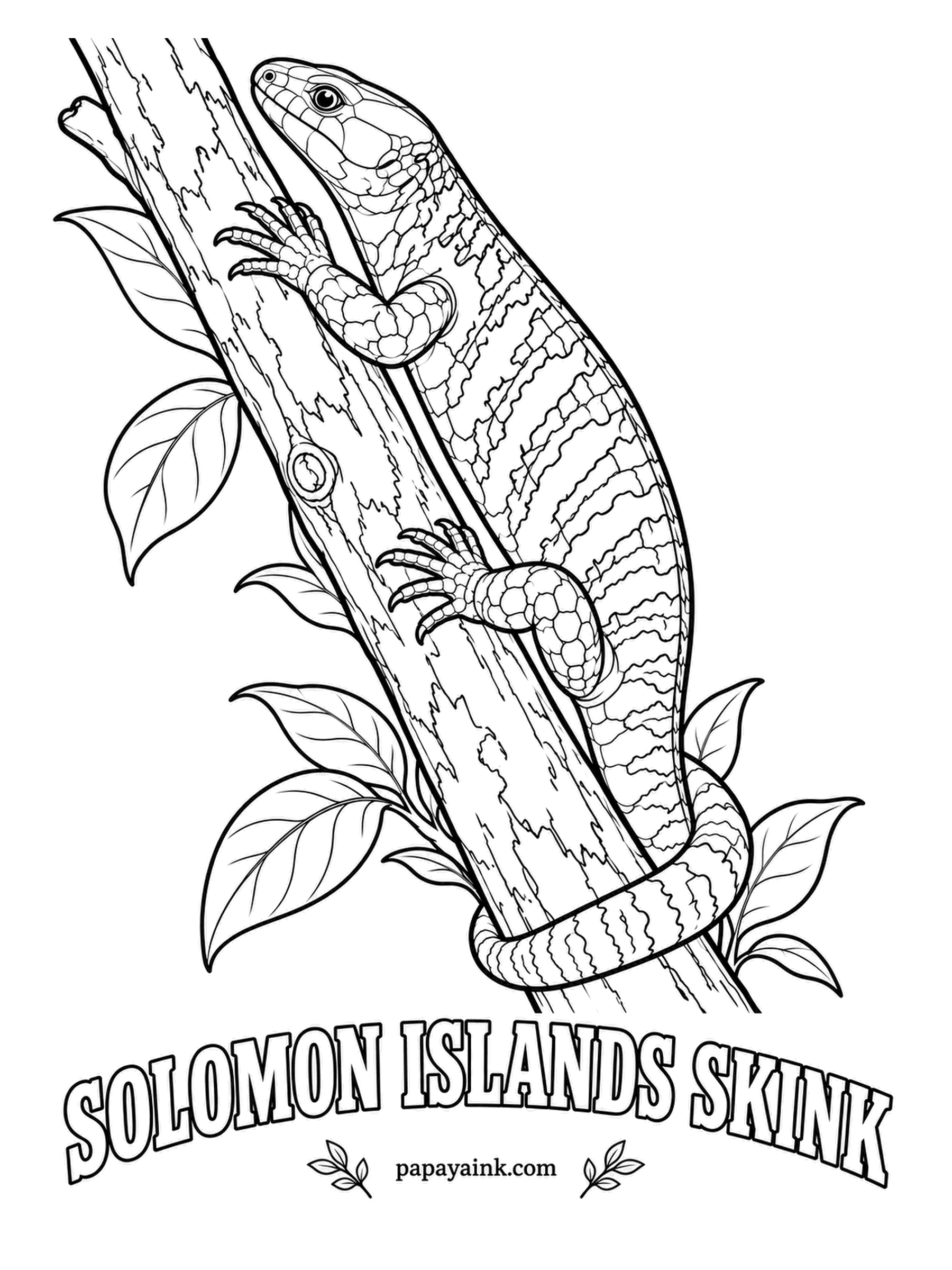 Reptile Coloring Pages - World champion among skinks for size, and a vegetarian: it climbs trees at night and hangs on with a gripping tail. Families stay together for years. Olive green with darker speckled bands, the trunk in gray and moss.