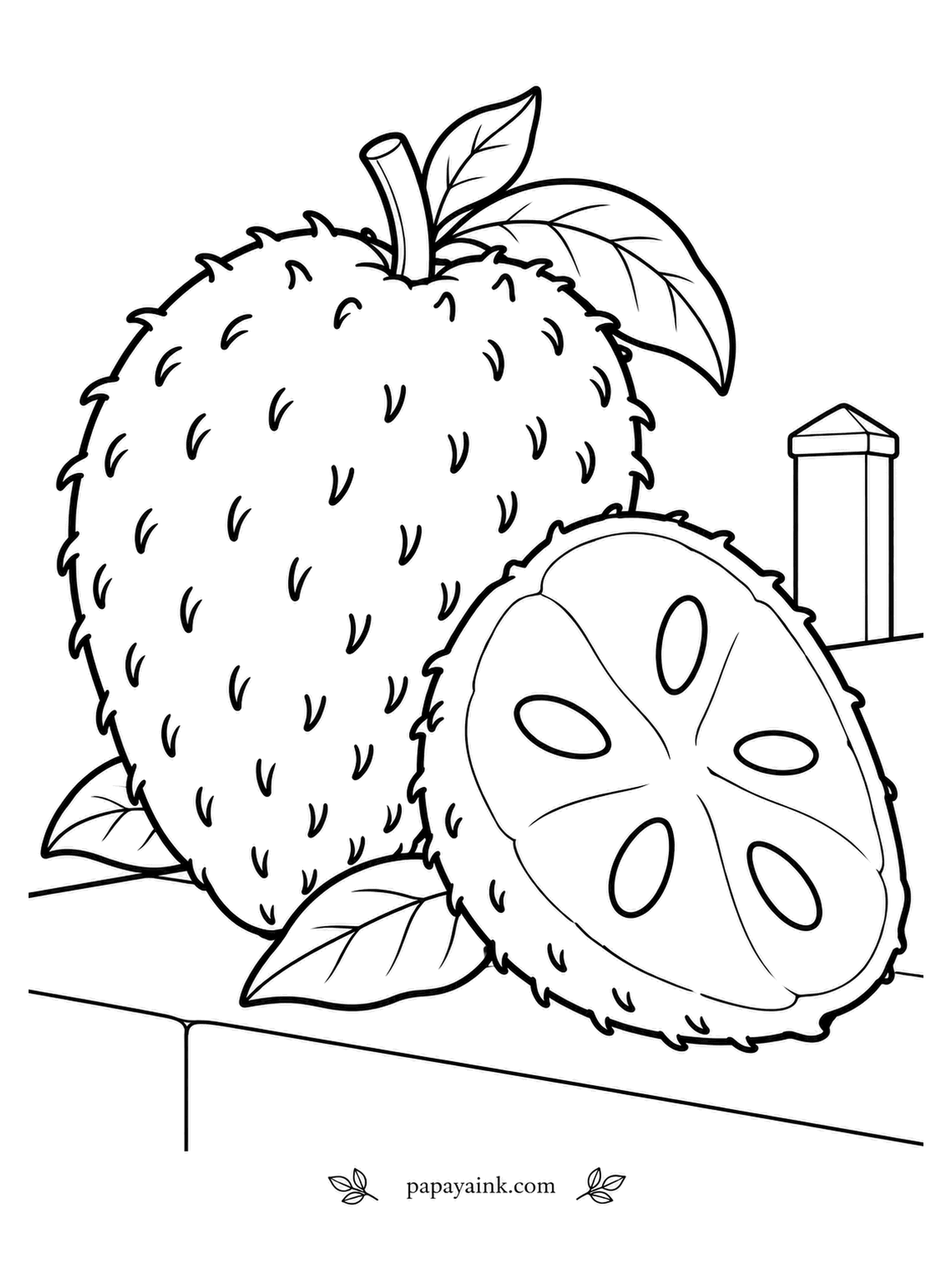 Fruit Coloring Pages - The prickles on a soursop look fierce and bend under a fingertip. The white pulp has a flavor somewhere between strawberry and pineapple with a squeeze of lemon - a favorite for juice. A whole fruit and a halved one wait on the patio ledge. Dark green skin, cream within.