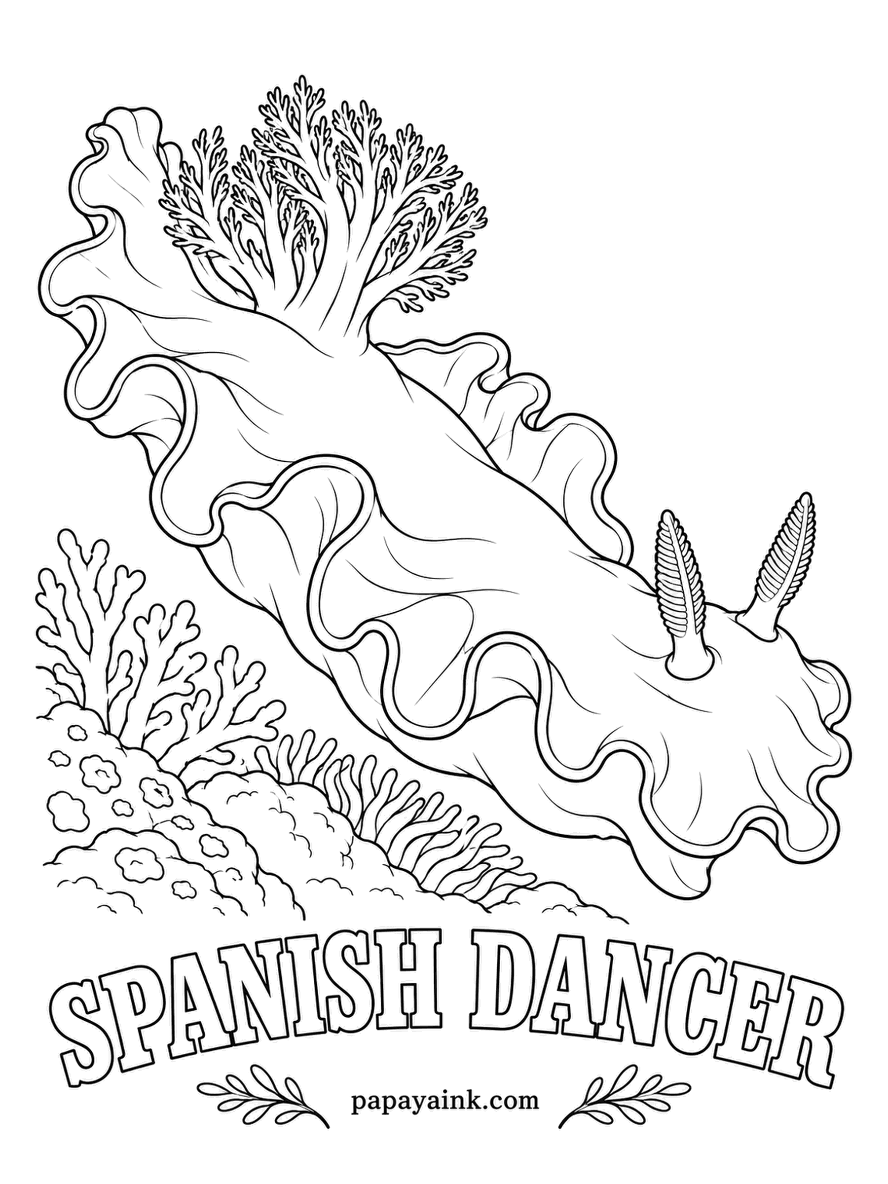 Sea Creature Coloring Pages - Watch one swim and the edges of its body ripple like the ruffled skirt of a flamenco dancer, which is the whole name. On its back is a feathery plume of gills. Scarlet to crimson with a white or pale pink rim along the ruffles.