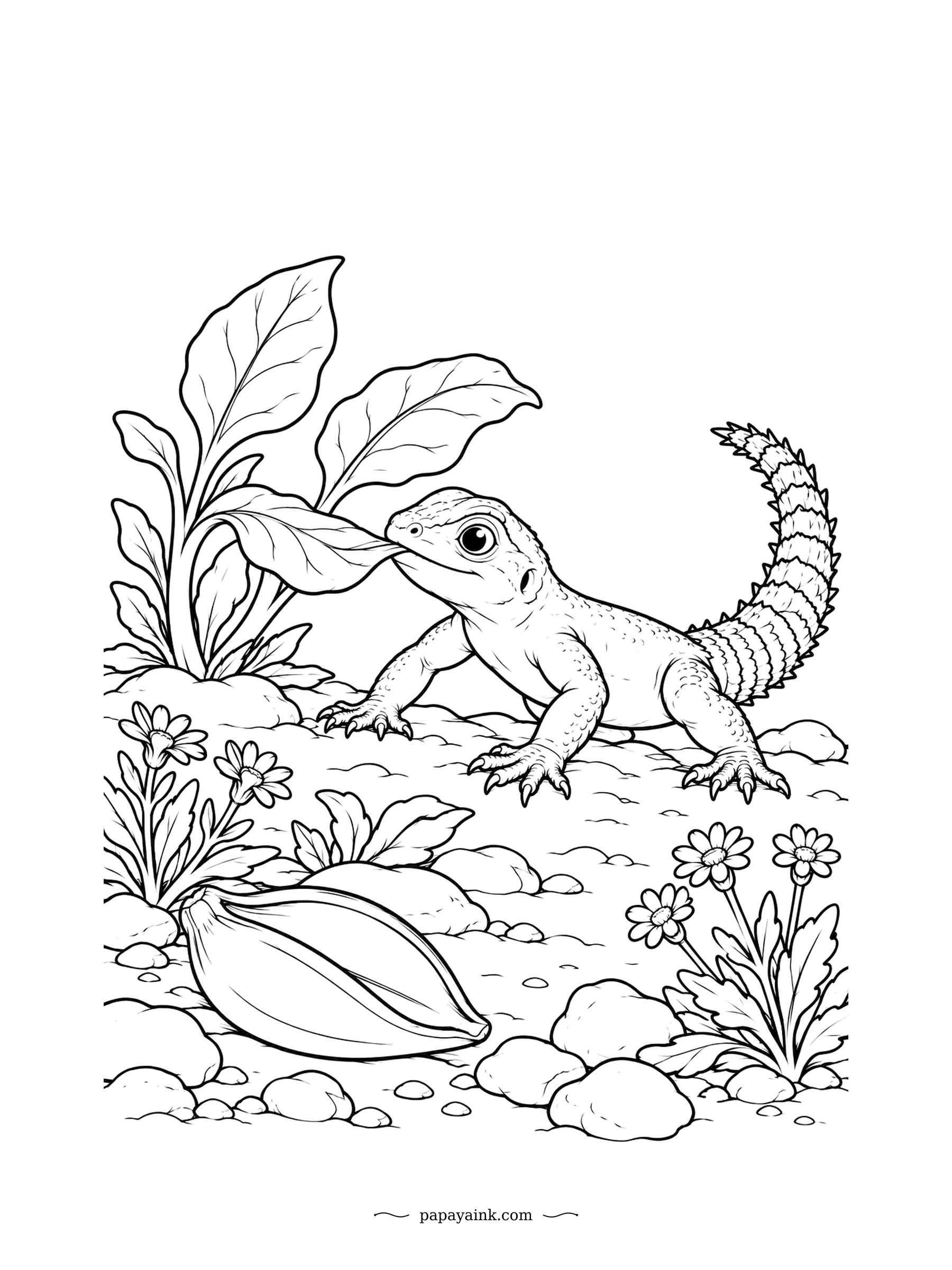 Lizard Coloring Pages - Spiny-tailed agamas are mostly vegetarian, and this specimen has grabbed a leaf with determination. That ringed tail of spikes doubles as a club against intruders. Flowers and small stones, detailed but not crowded.